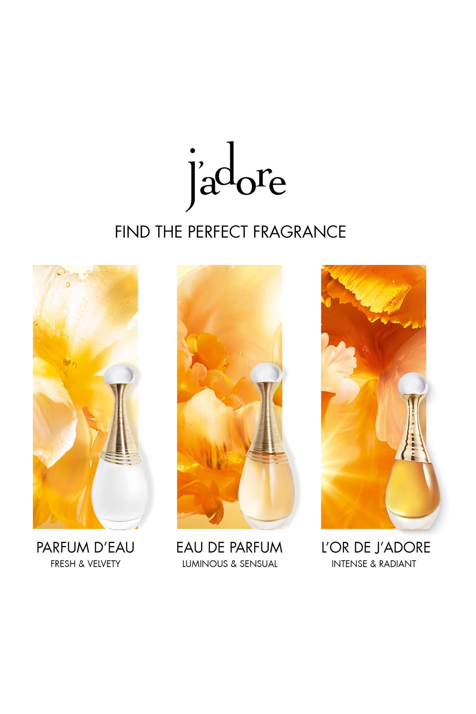 J&rsquo;adore Holiday Gift Set