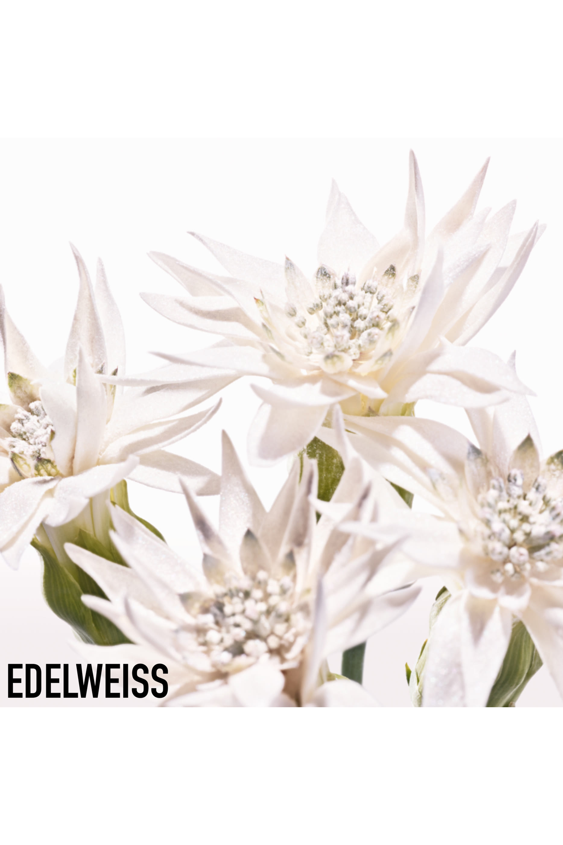 Diorsnow Ultimate UV Shield - Skin-Breathable Brightening Emulsion SPF 50+ PA+++