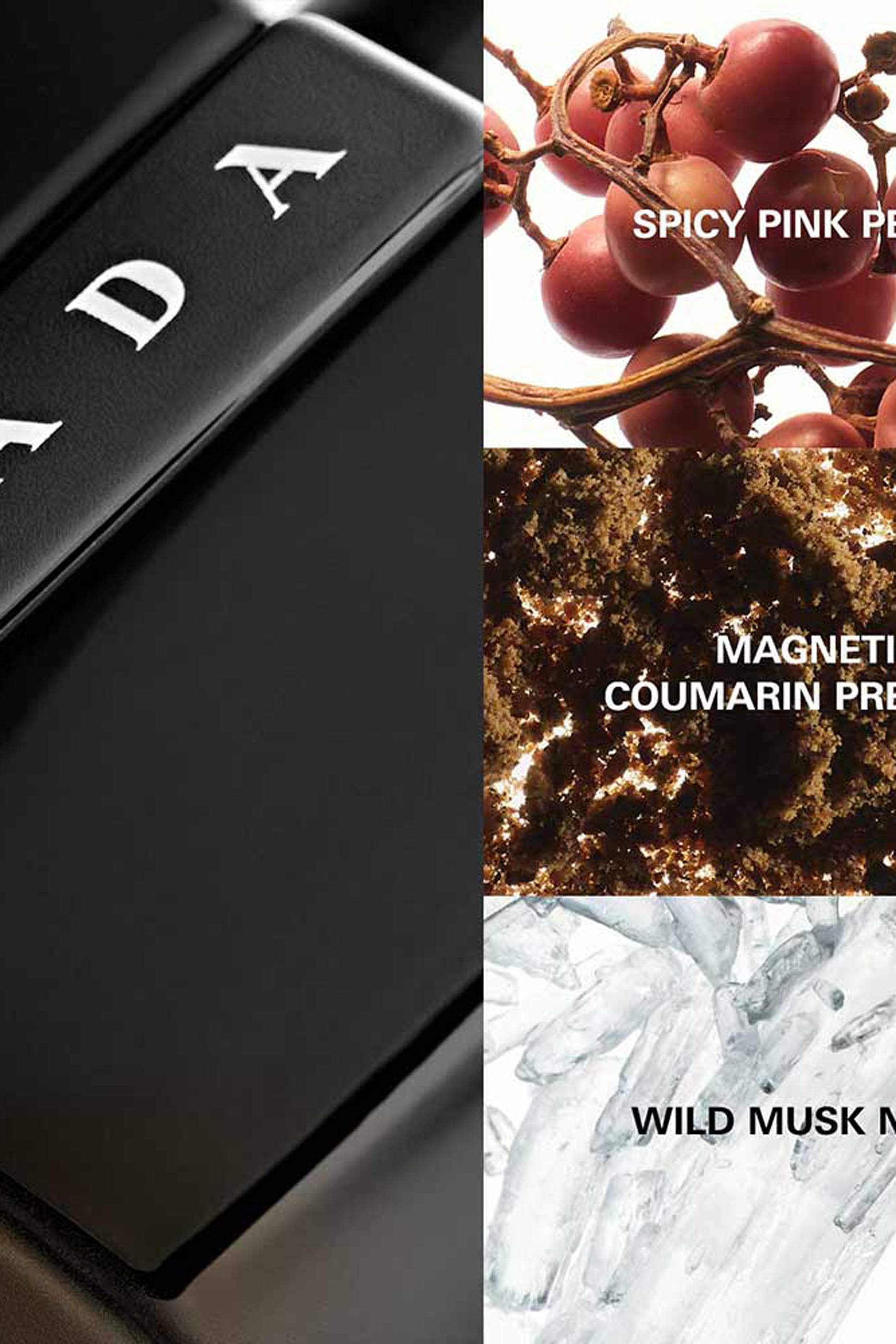 Luna Rossa Black Eau de Parfum