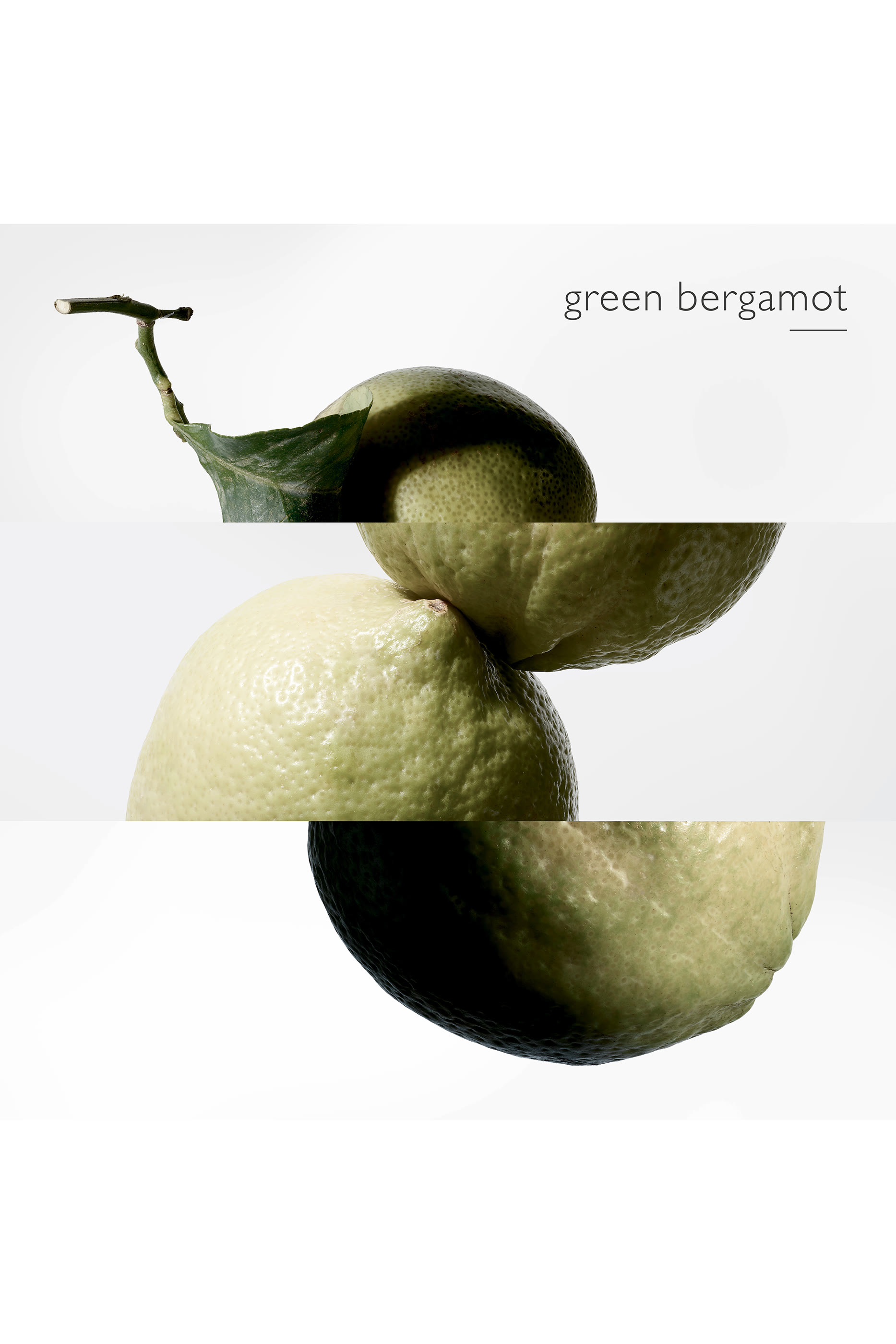 Terre d'Herm&egrave;s Eau Intense V&eacute;tiver, Eau de parfum