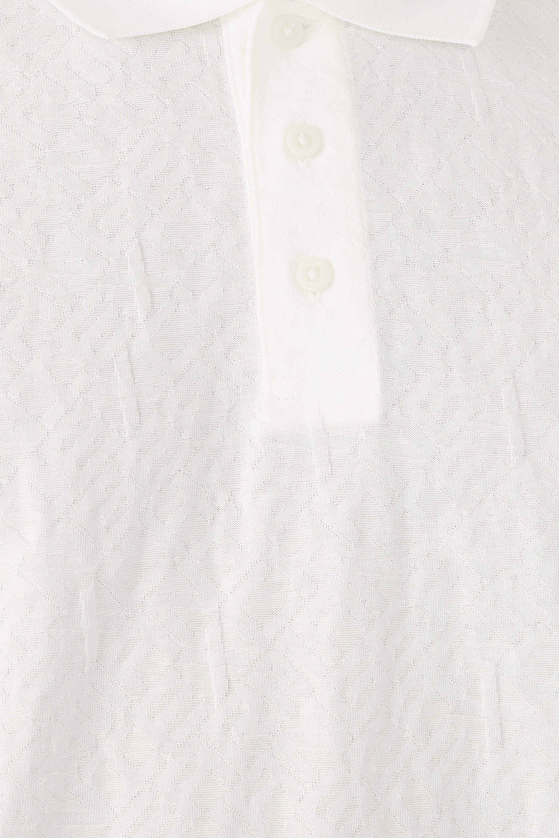 Regular Fit Polo Shirt