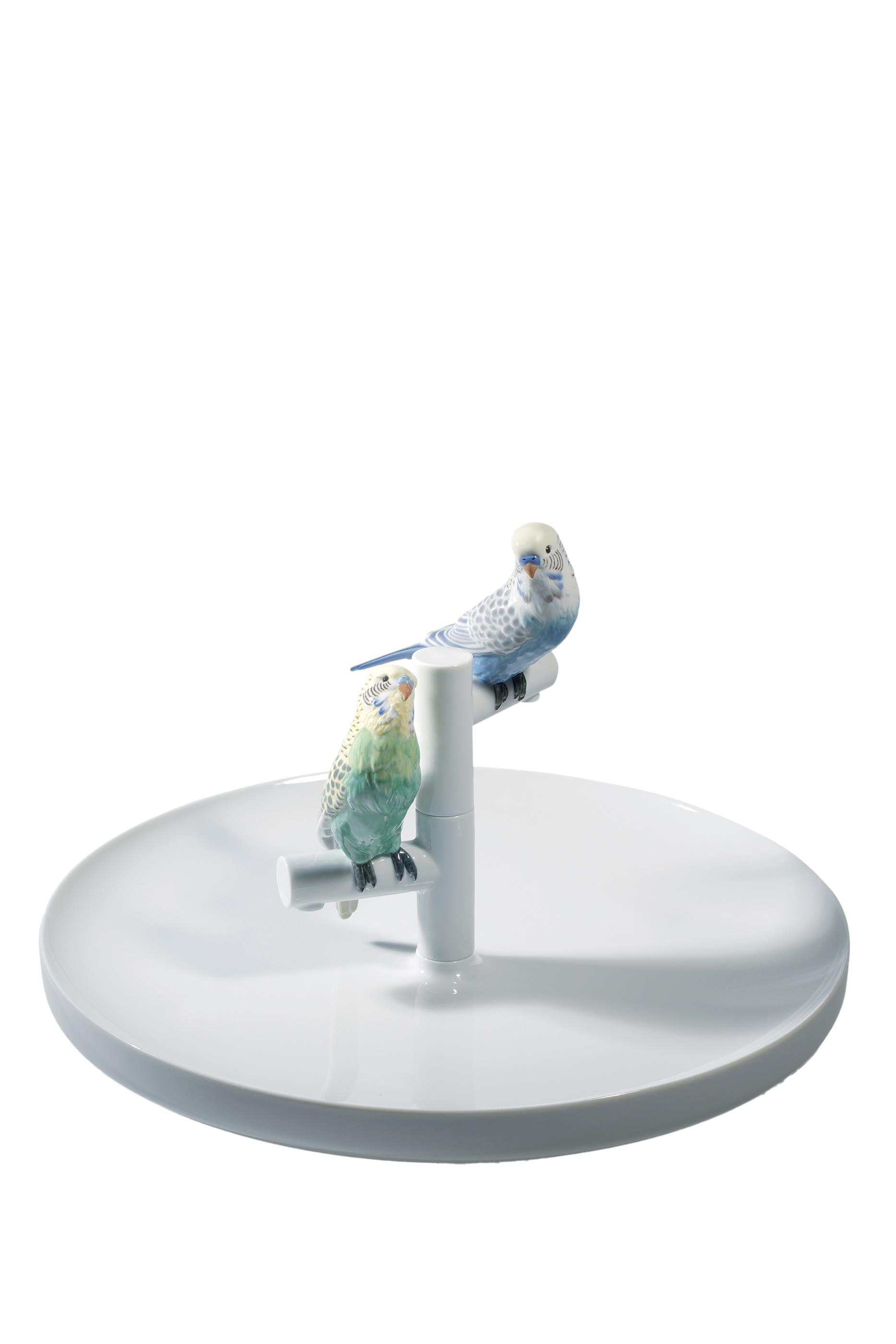 Parrot Romance Plate