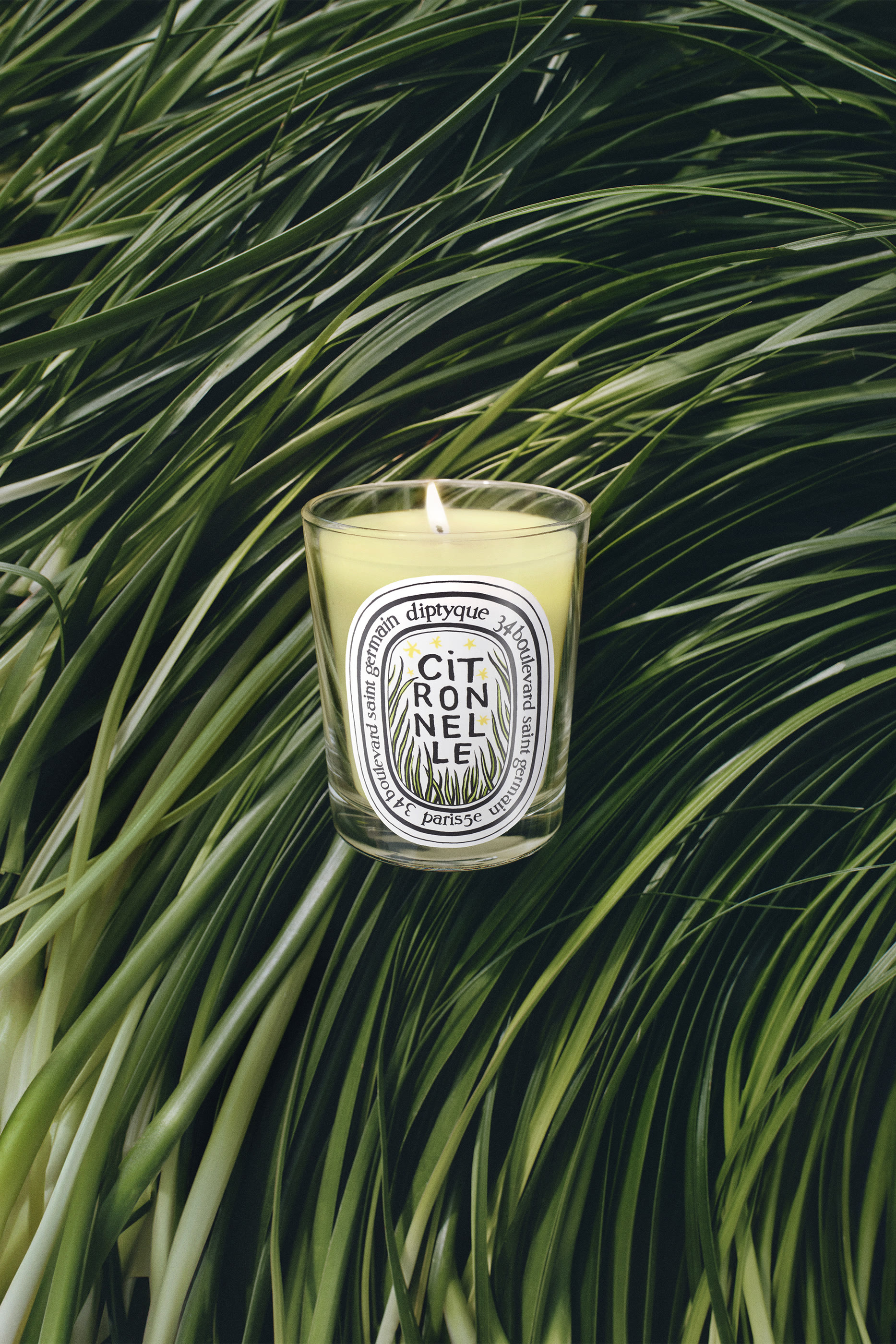 Limited Edition Citronnelle Classic Candle