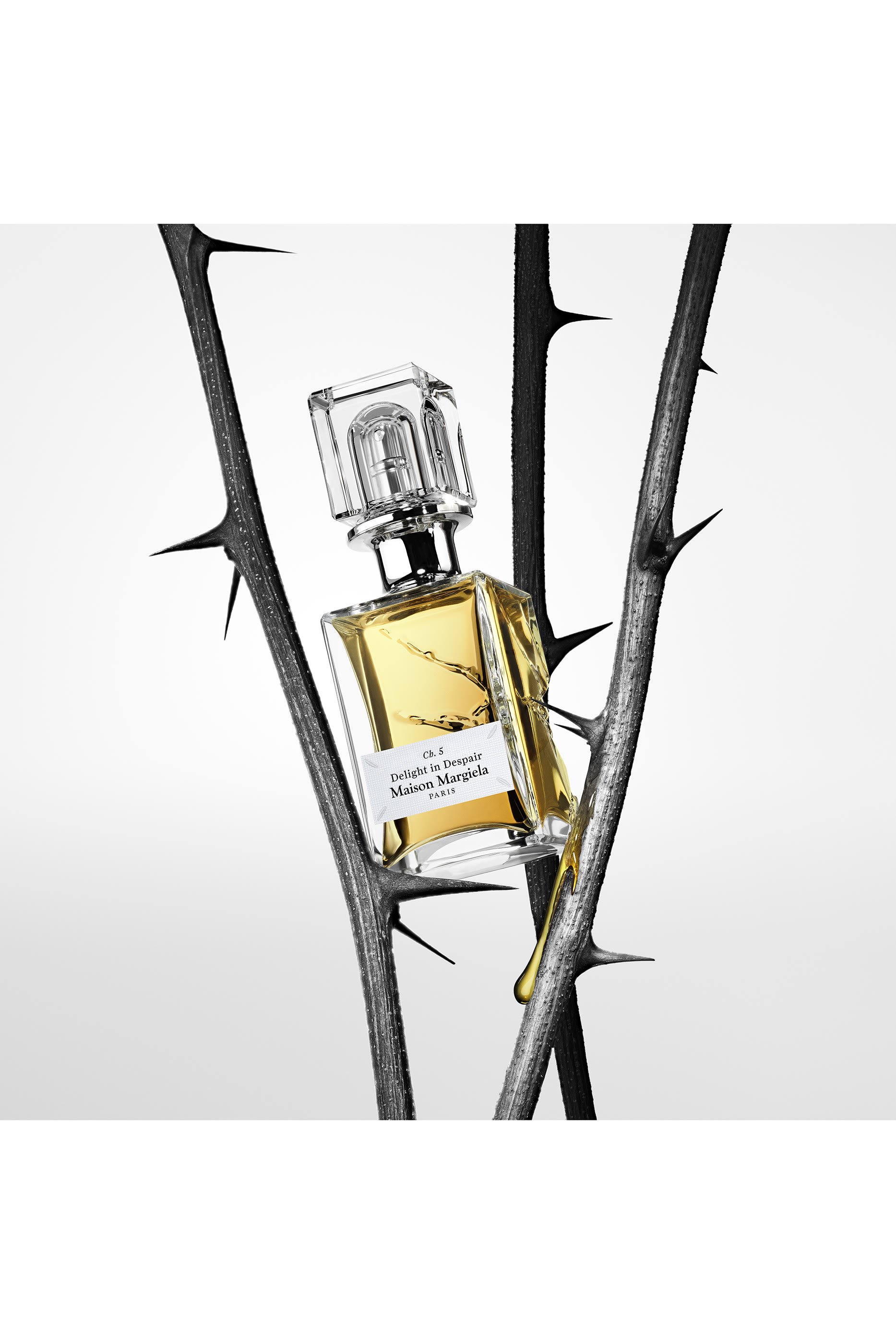 The Scentsorium Collection Ch.5 Delight in Despair Parfum