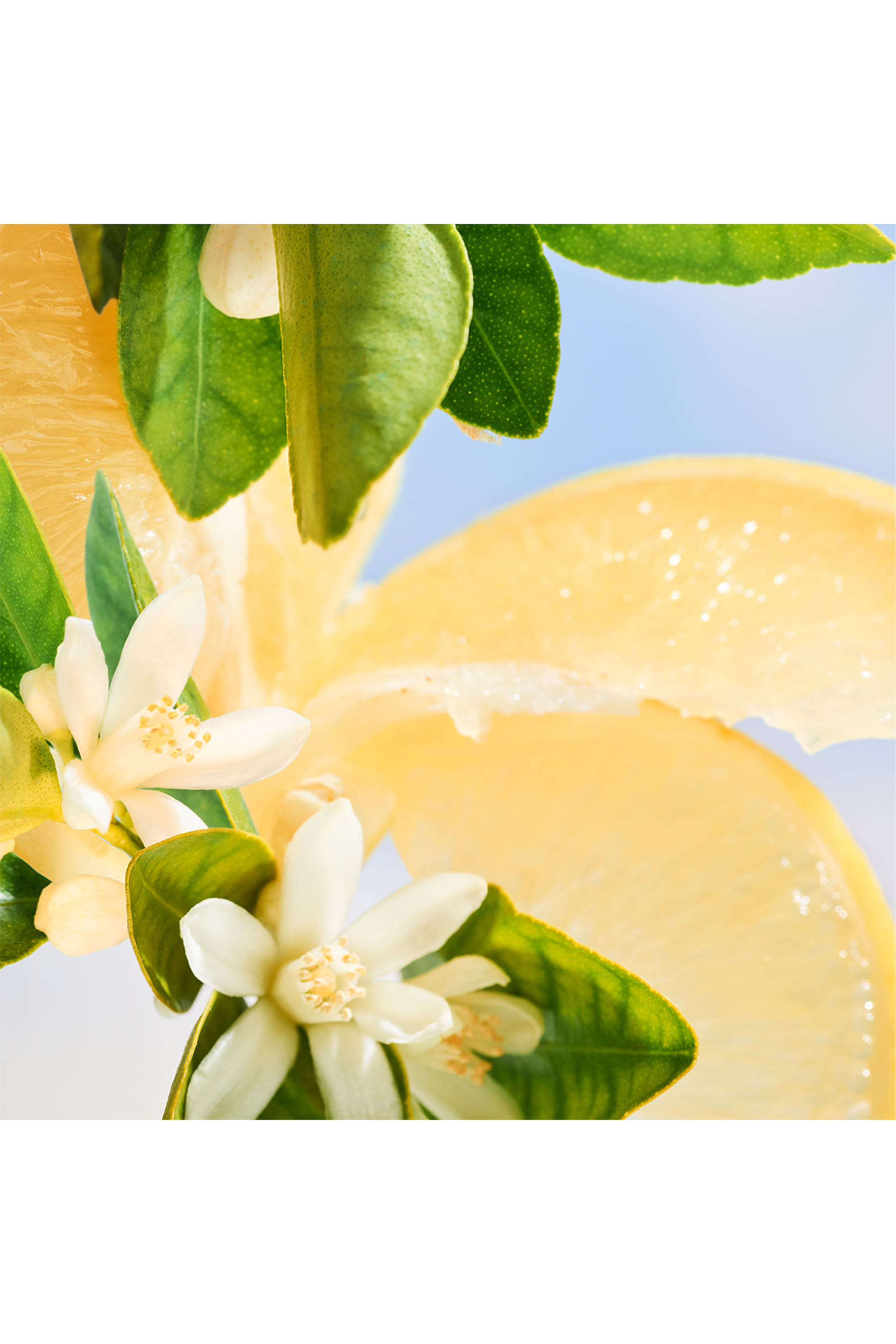 Allegra Riva Solare Liquid Soap