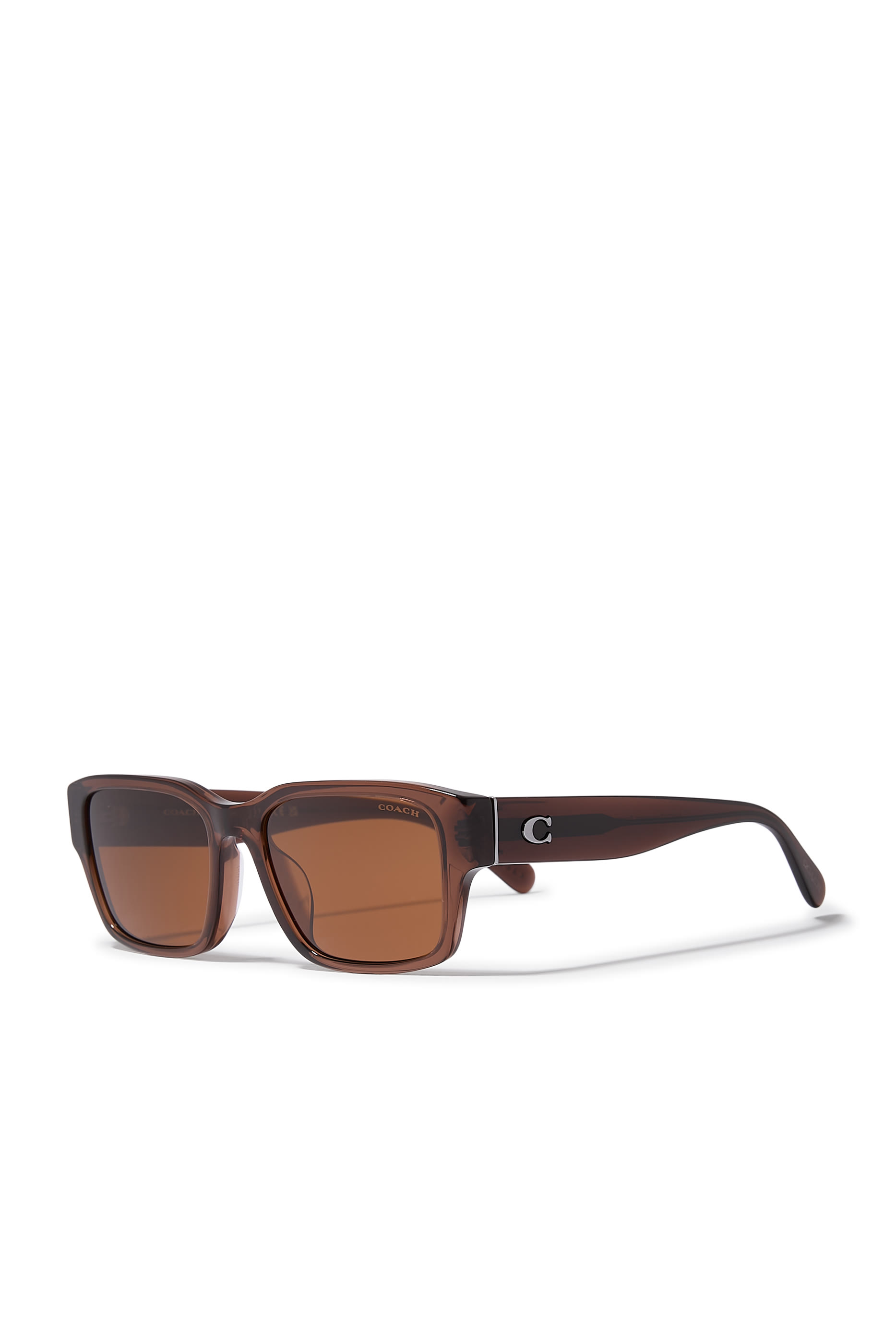 D-Frame Maxi C Temple Sunglasses