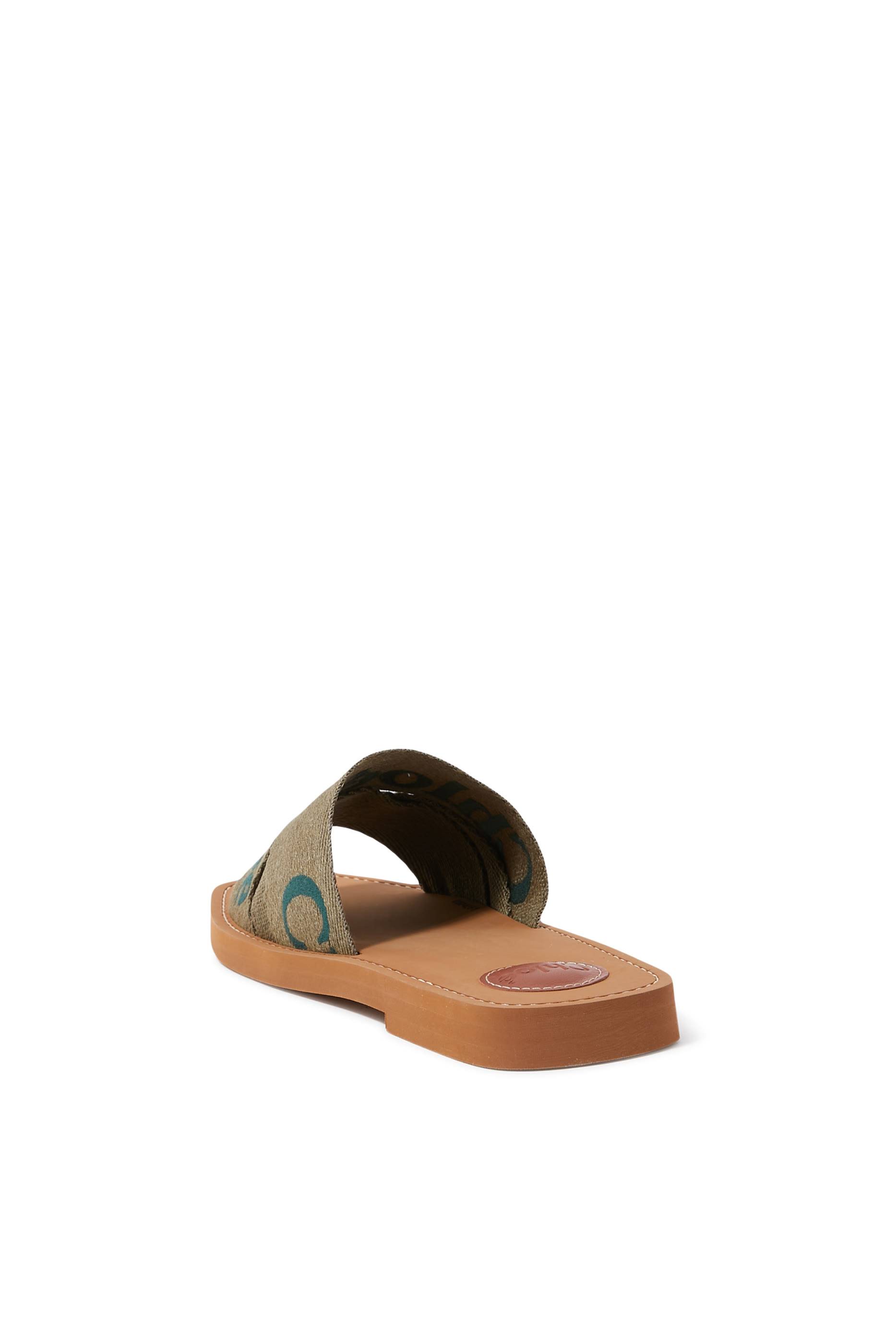 Woody Logo Canvas Slides