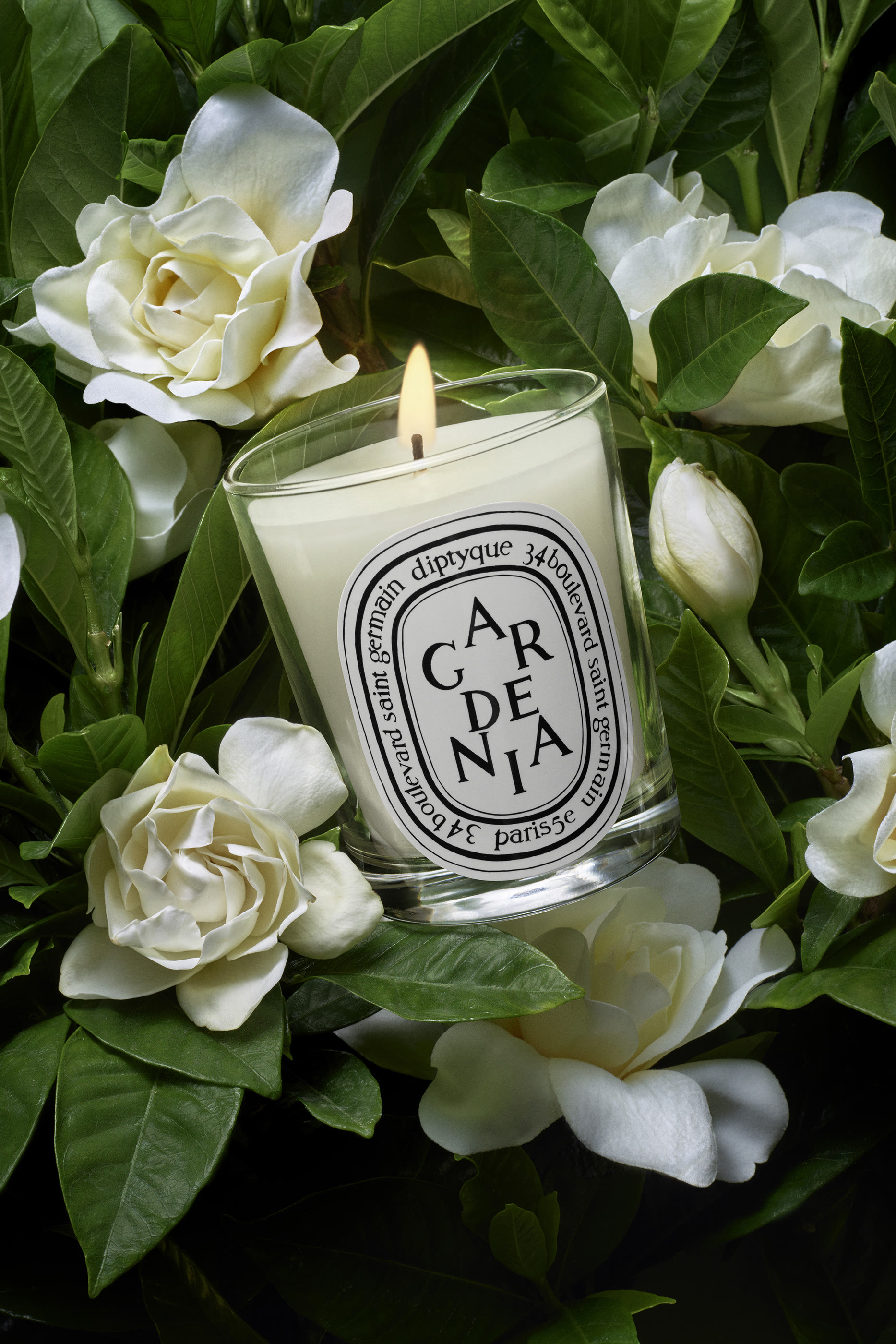 Gardénia Candle