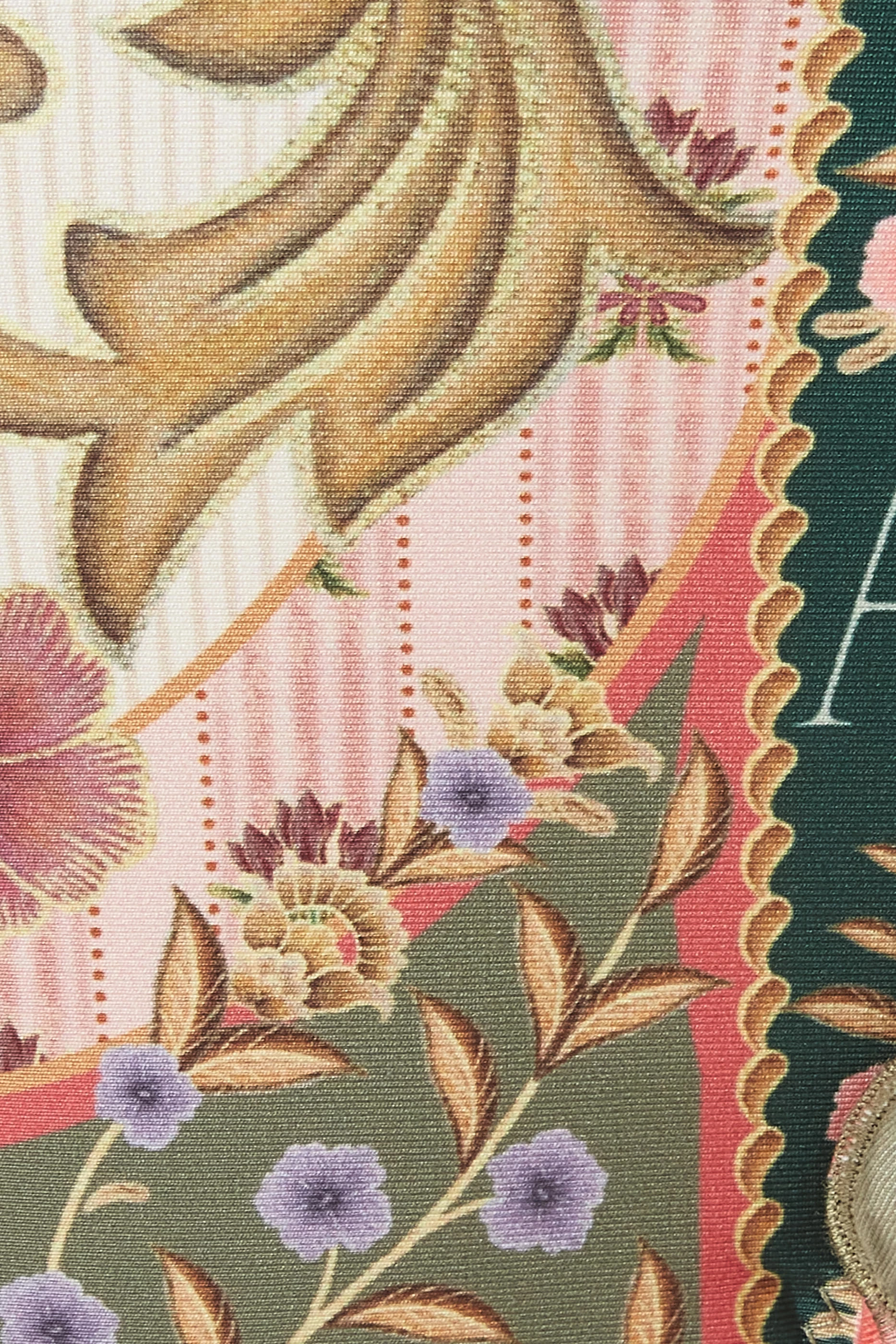 Alegria Bikini Bottom