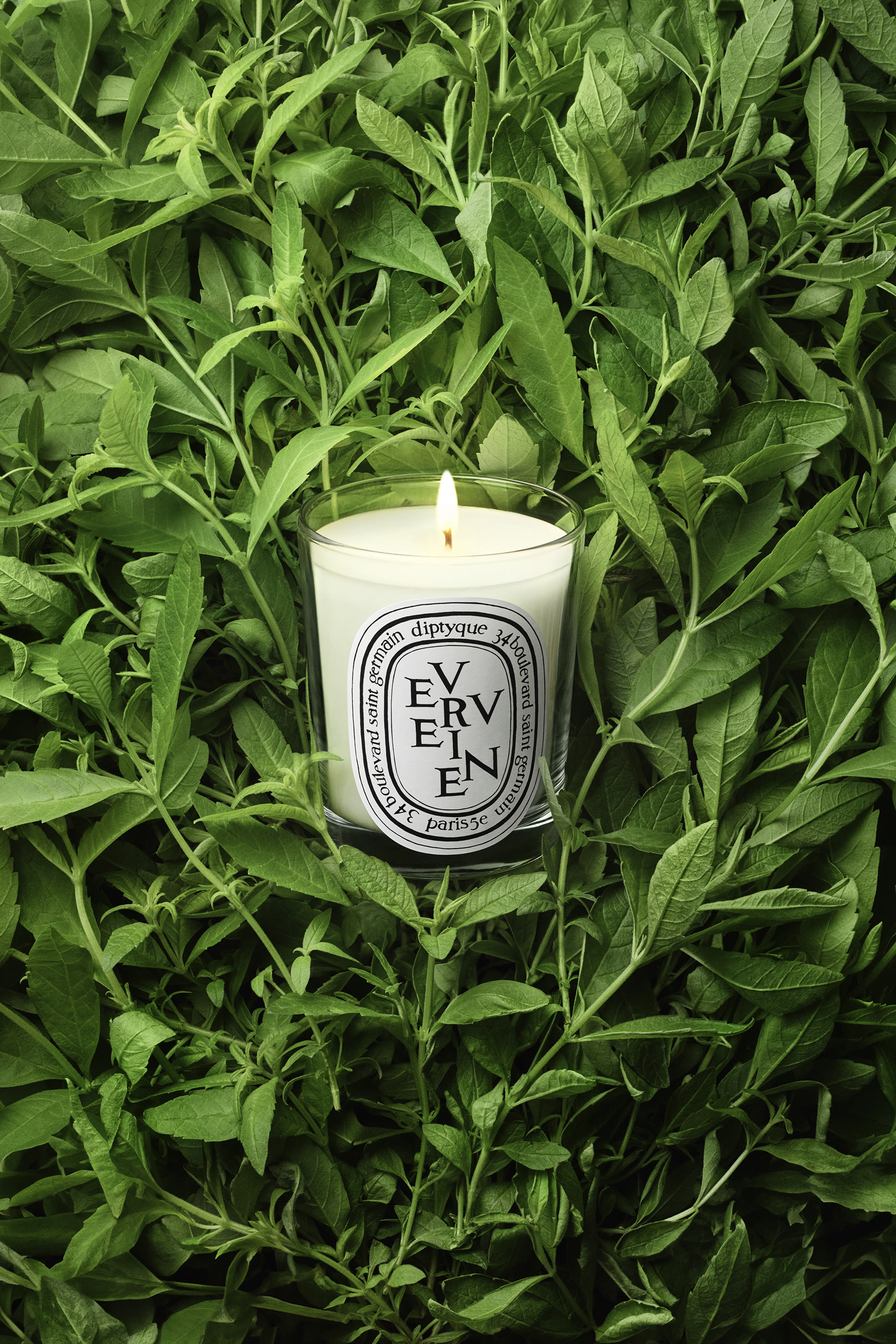 Mini Candle Verveine