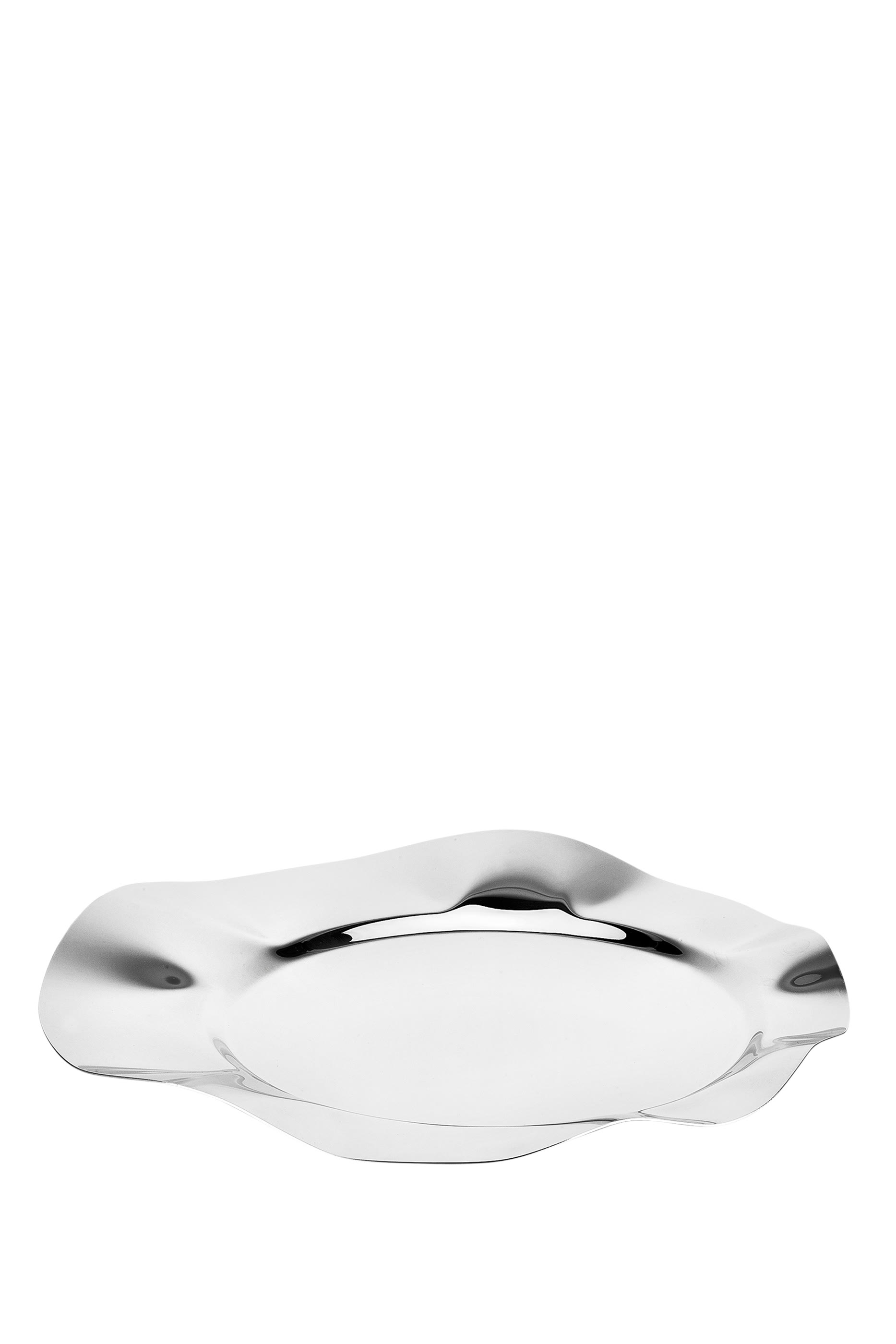 Stainless Steel Tray