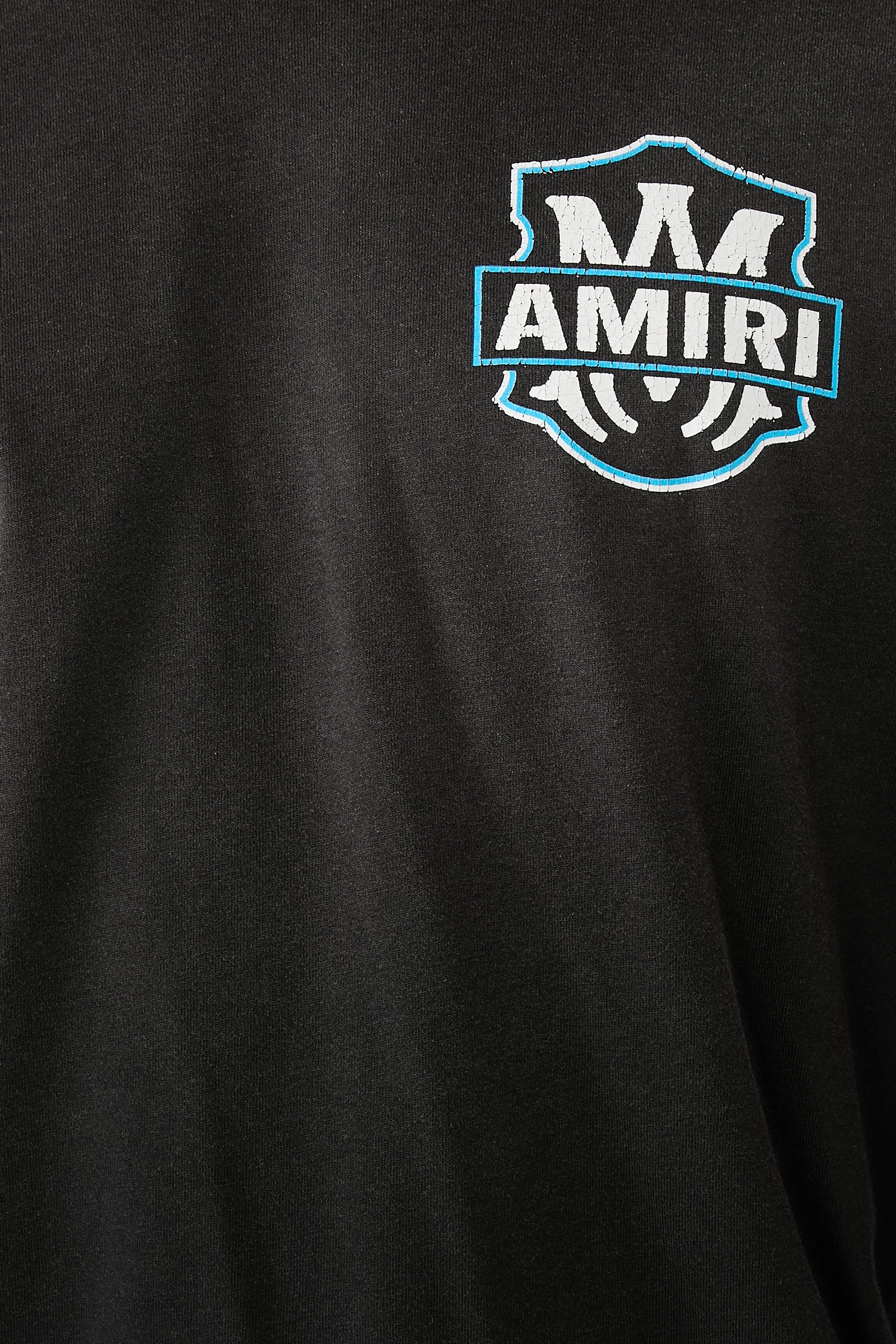 Eagle Flames Graphic T-Shirt