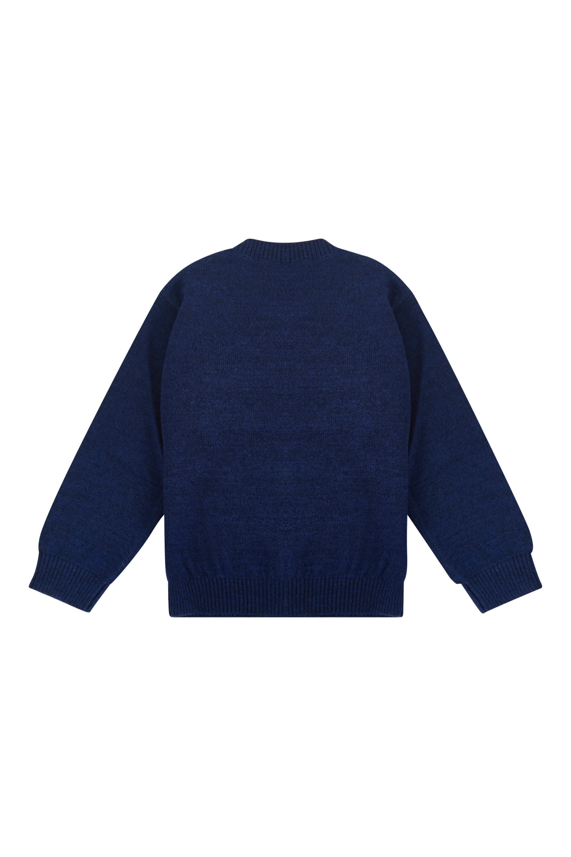 Kids EA Logo Sweater