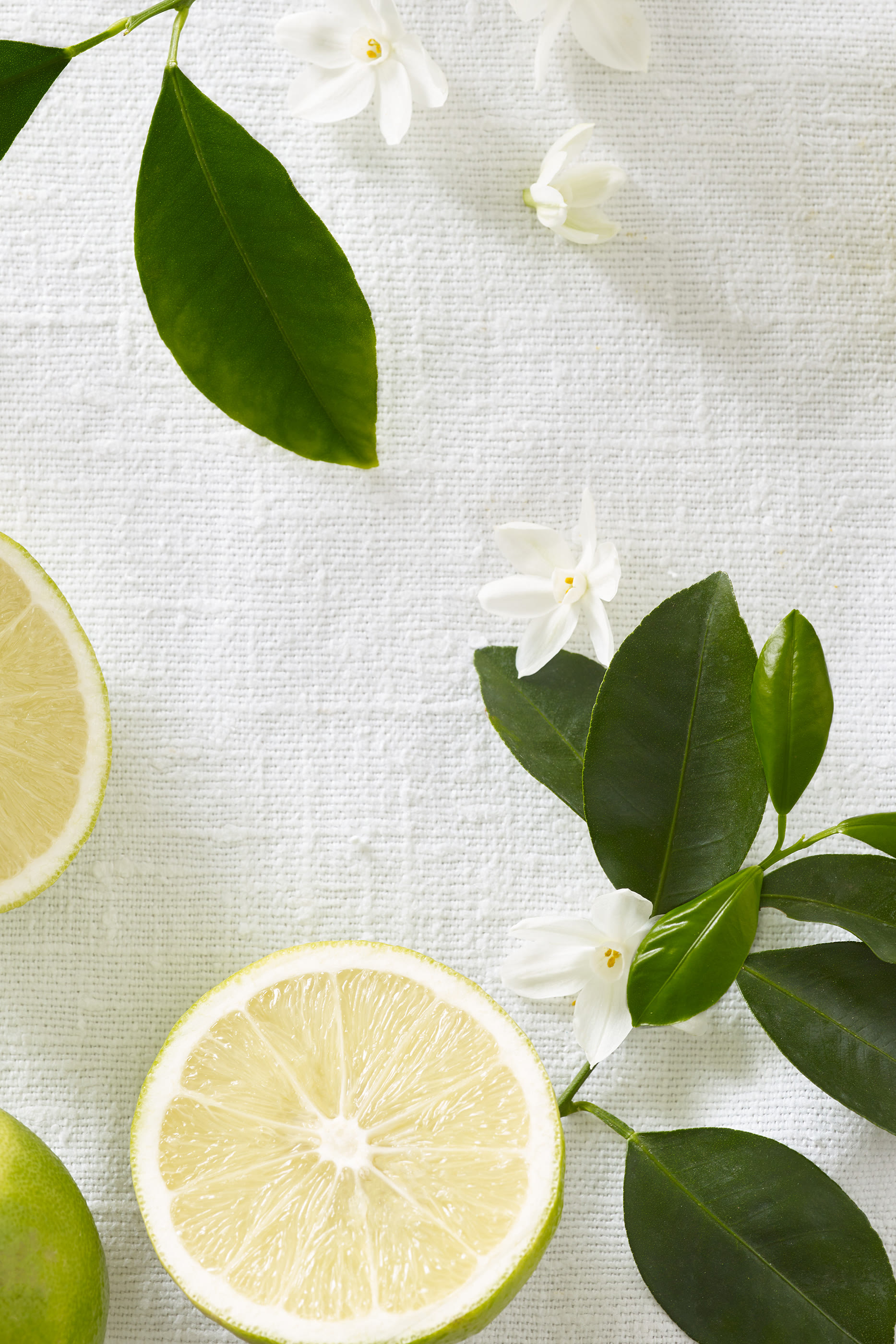 Tuscan Grove Fragrance Oil