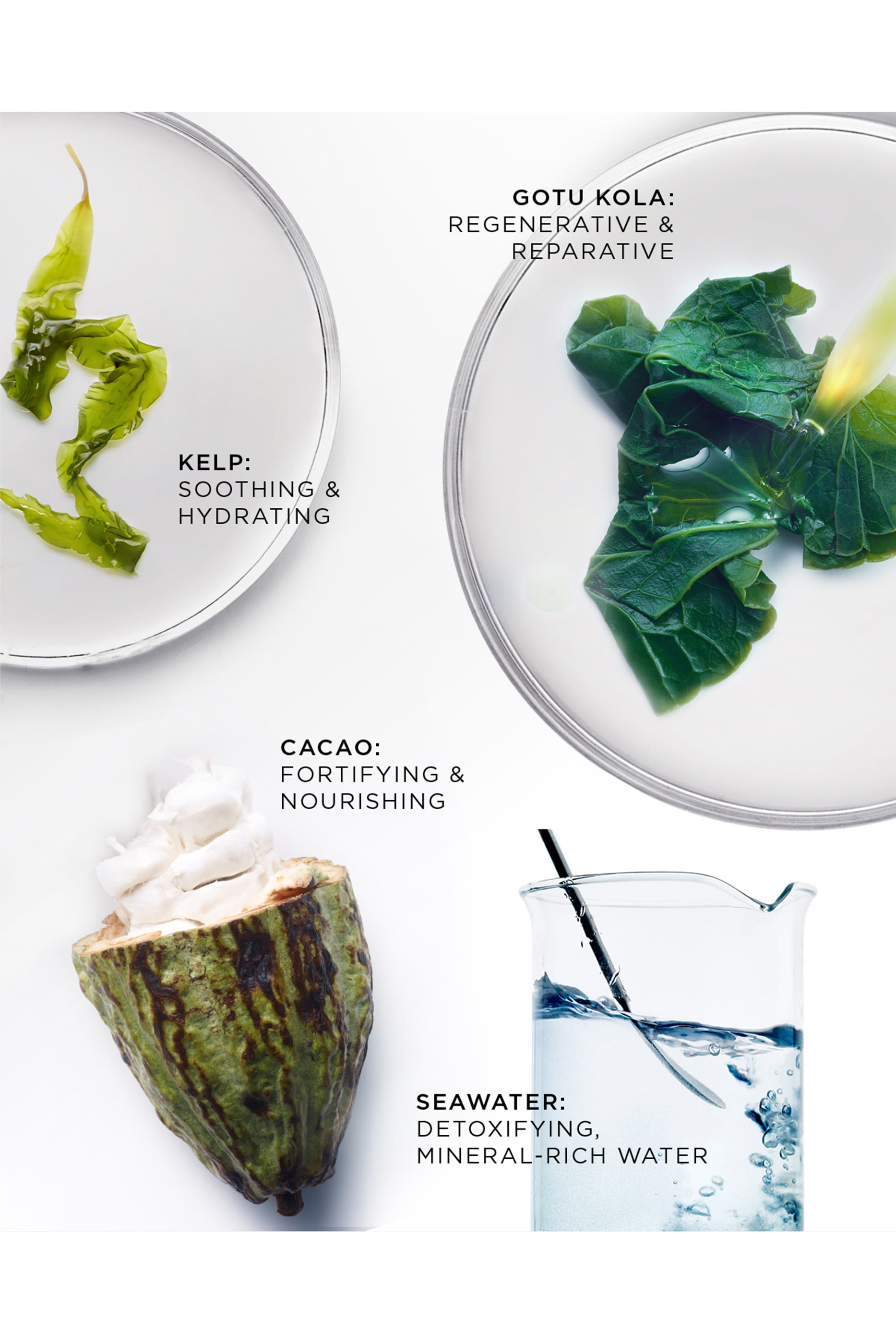 The Brilliant Overnight Recharge Cream Refill