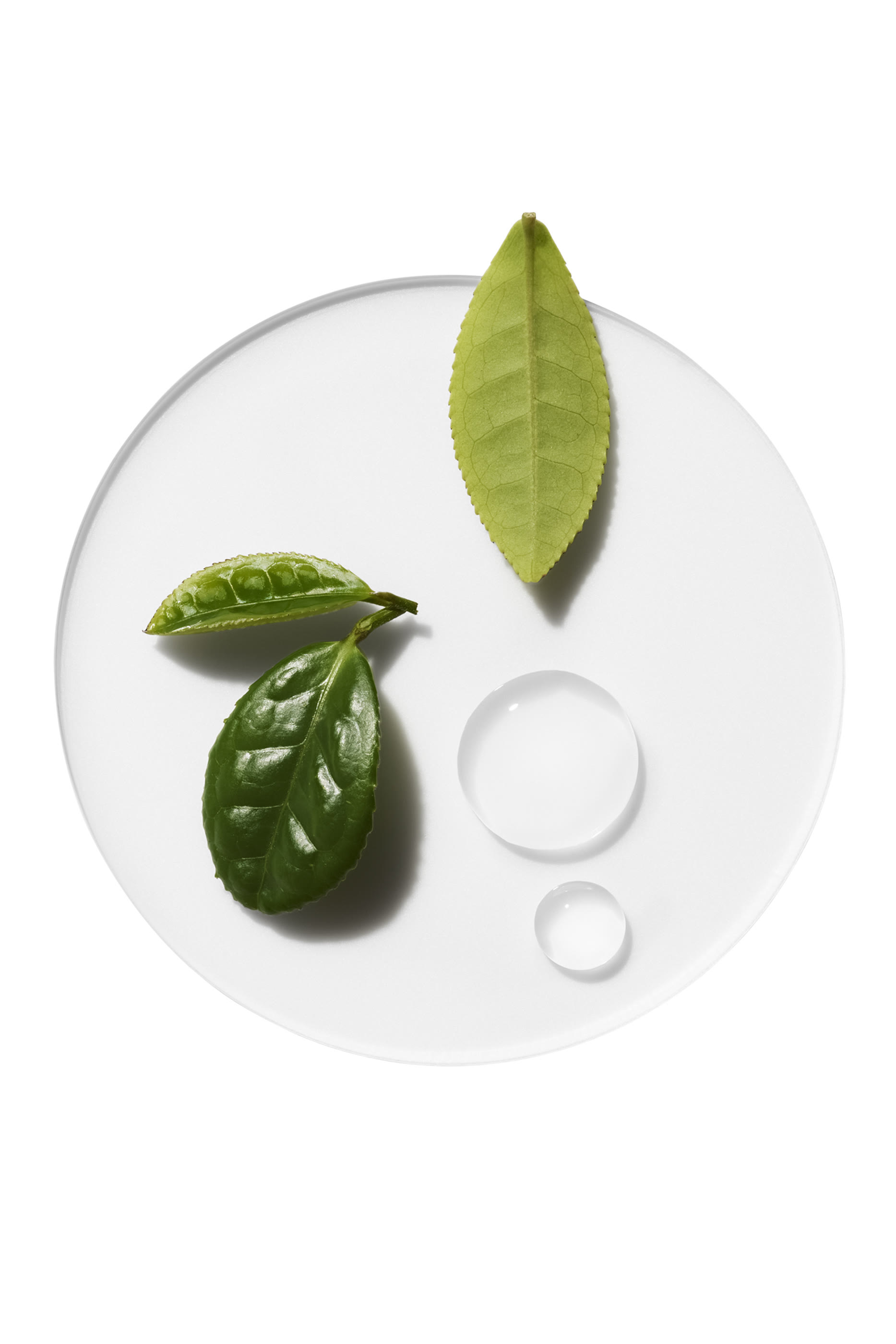 Moisture Surge™ Hydrating Supercharged Concentrate