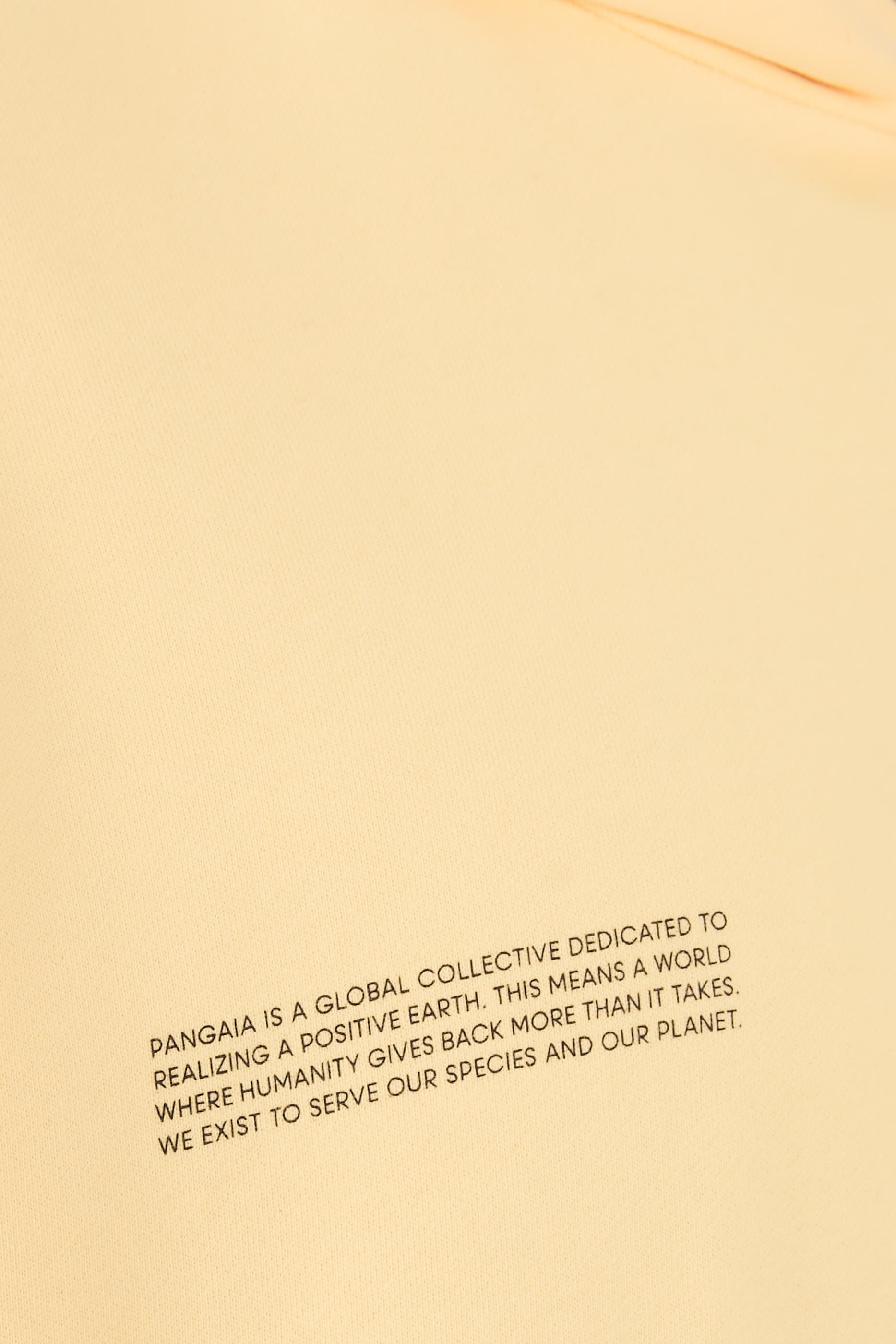 365 Midweight Hoodie