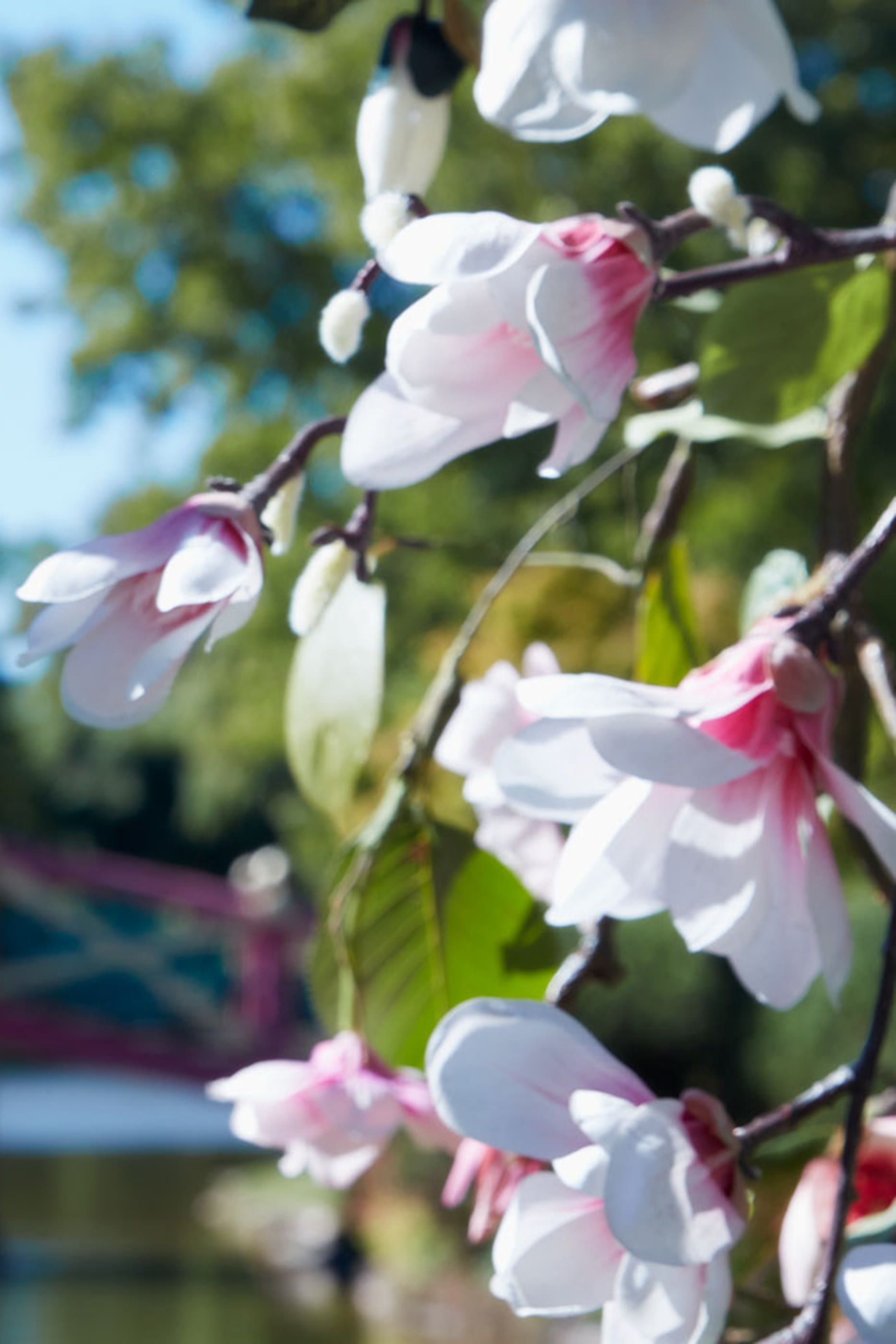 Replica Springtime In A Park Candle