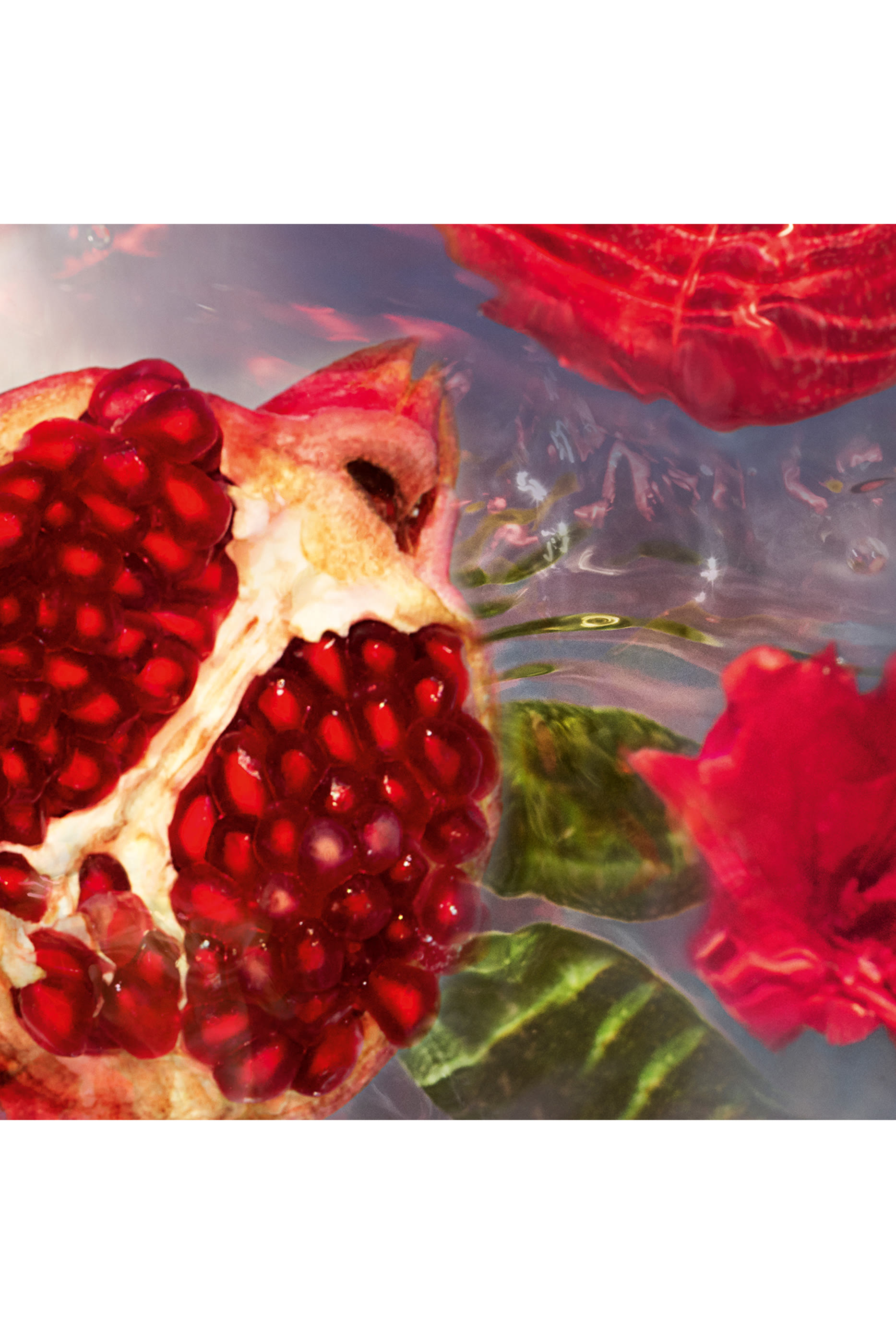 Granada Salvia Eau de toilette