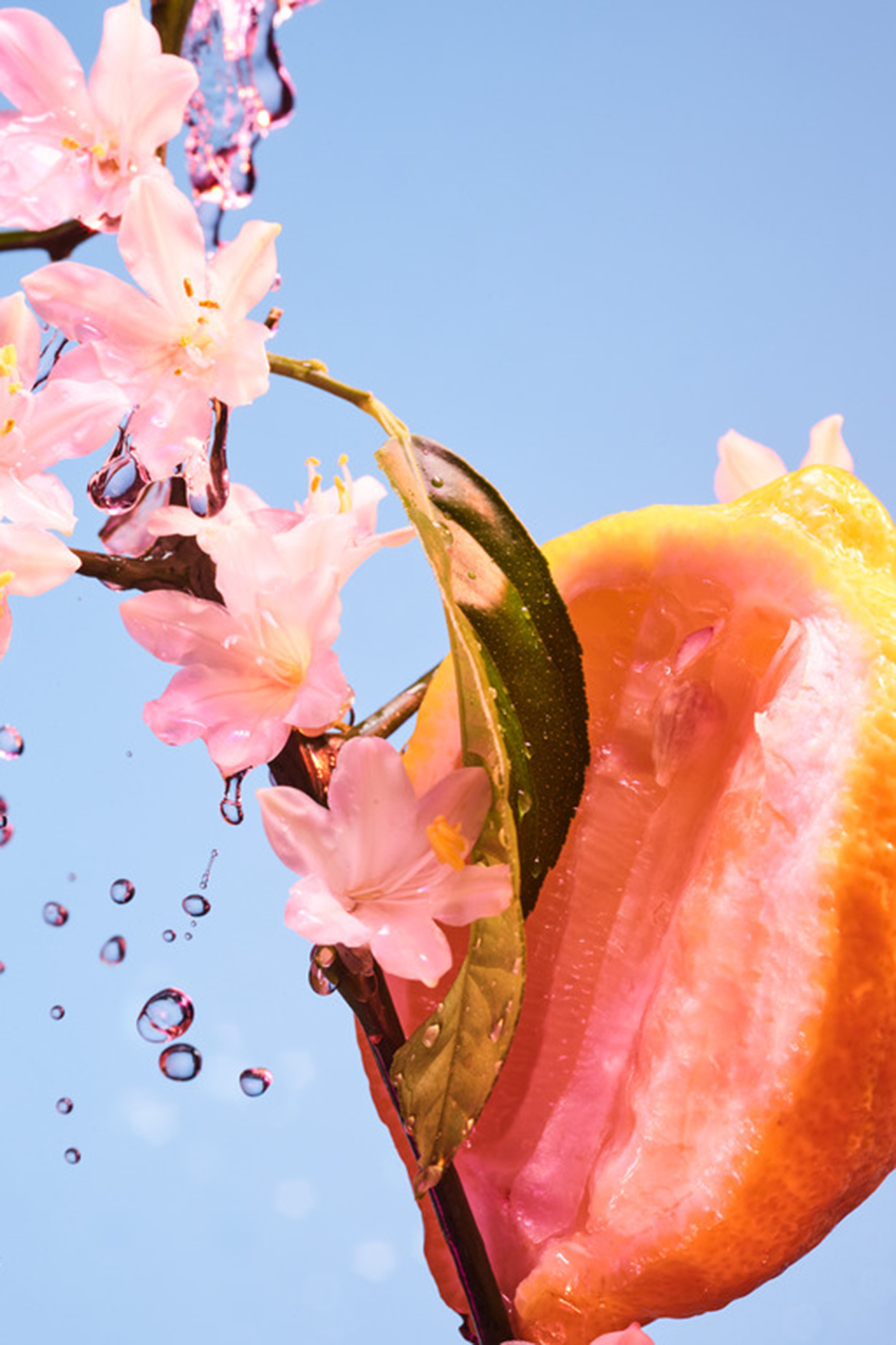 Allegra Chill & Sole Eau De Parfum