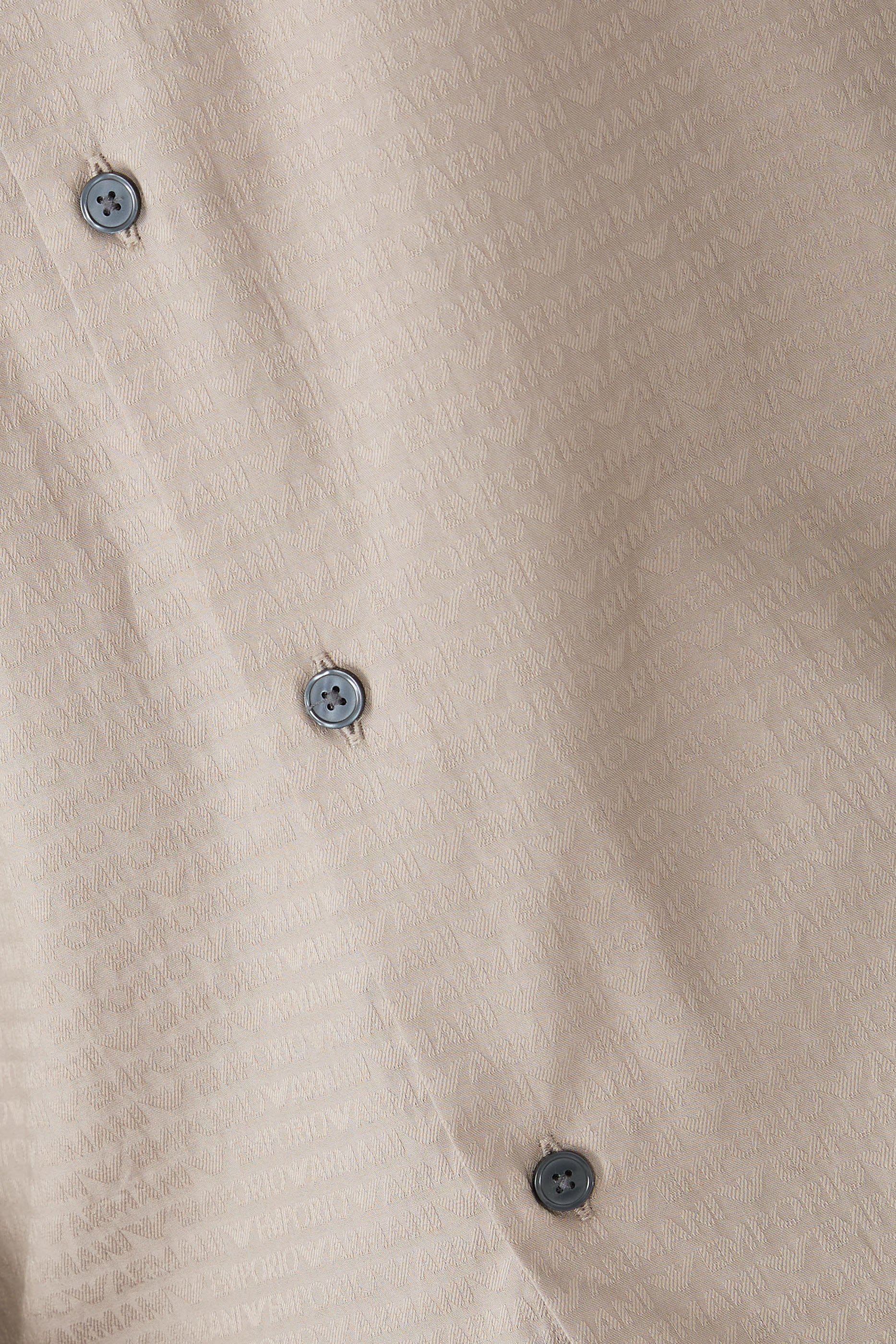 Micro EA Text Logo Long Sleeves Shirt