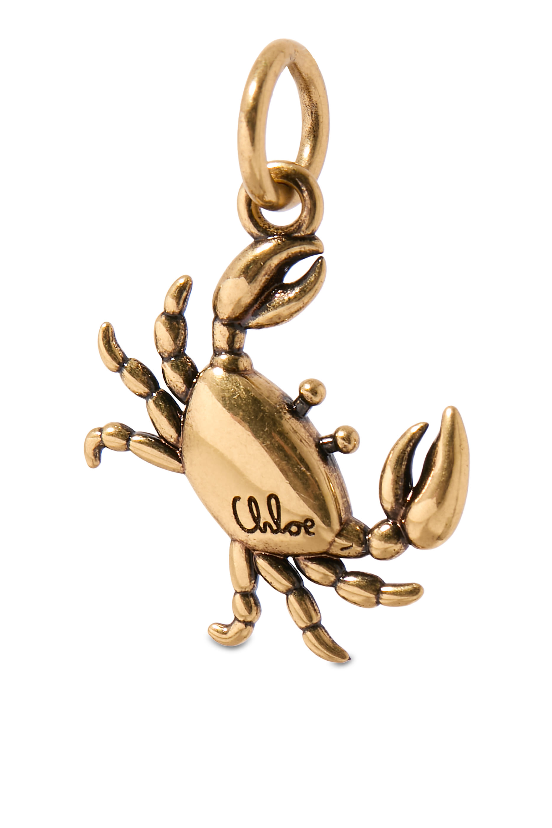 Crab Charm