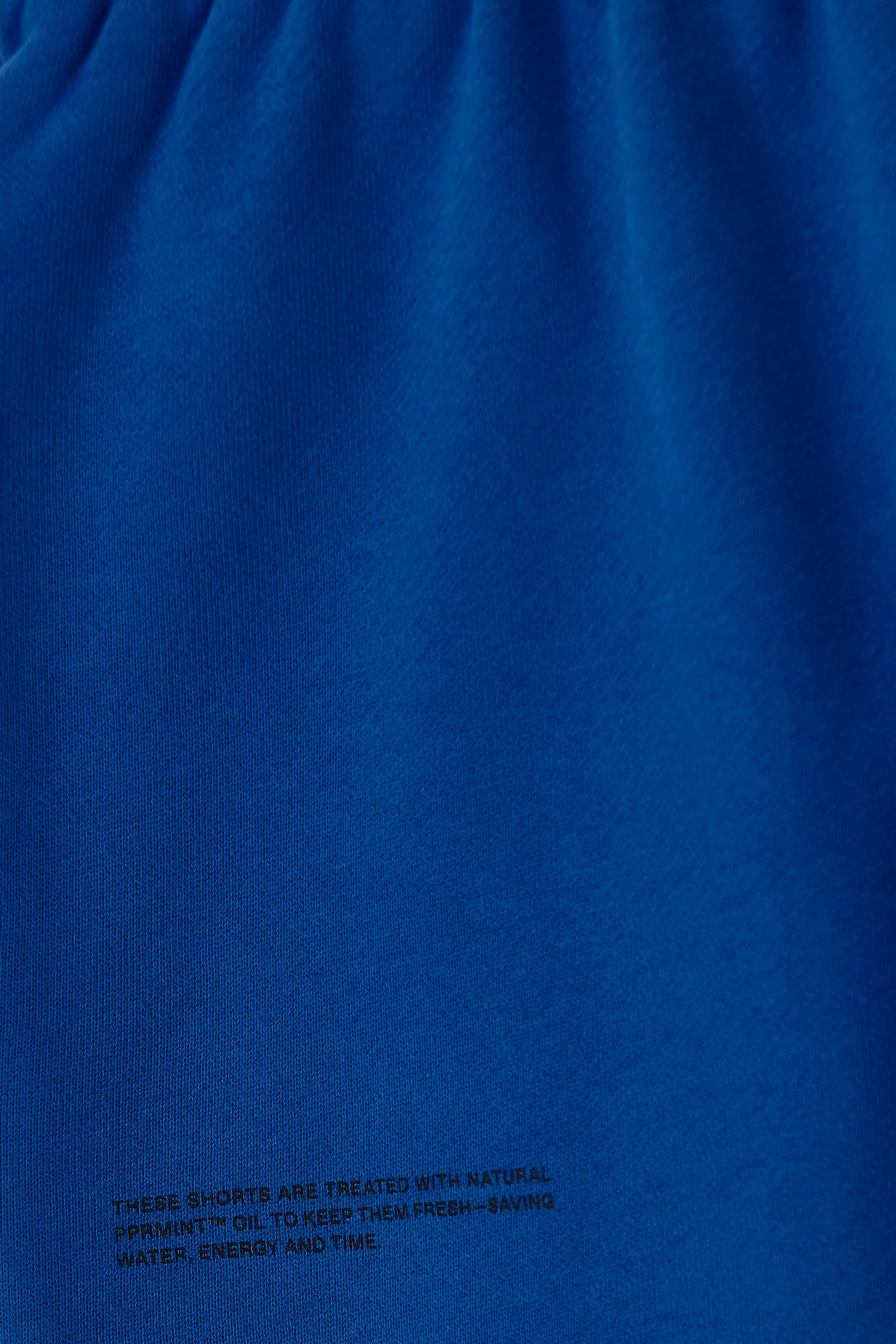 365 Long Track Shorts