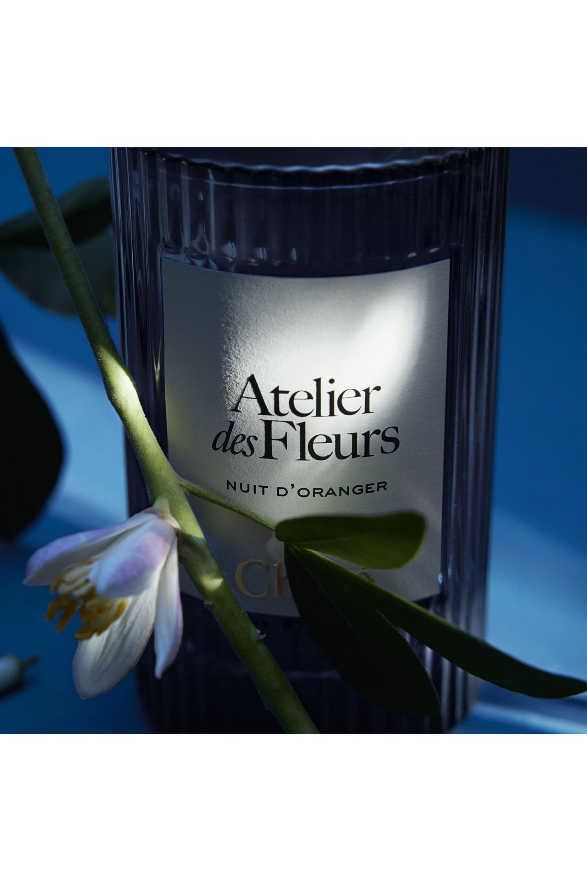 Atelier Des Fleurs Nuit D’oranger