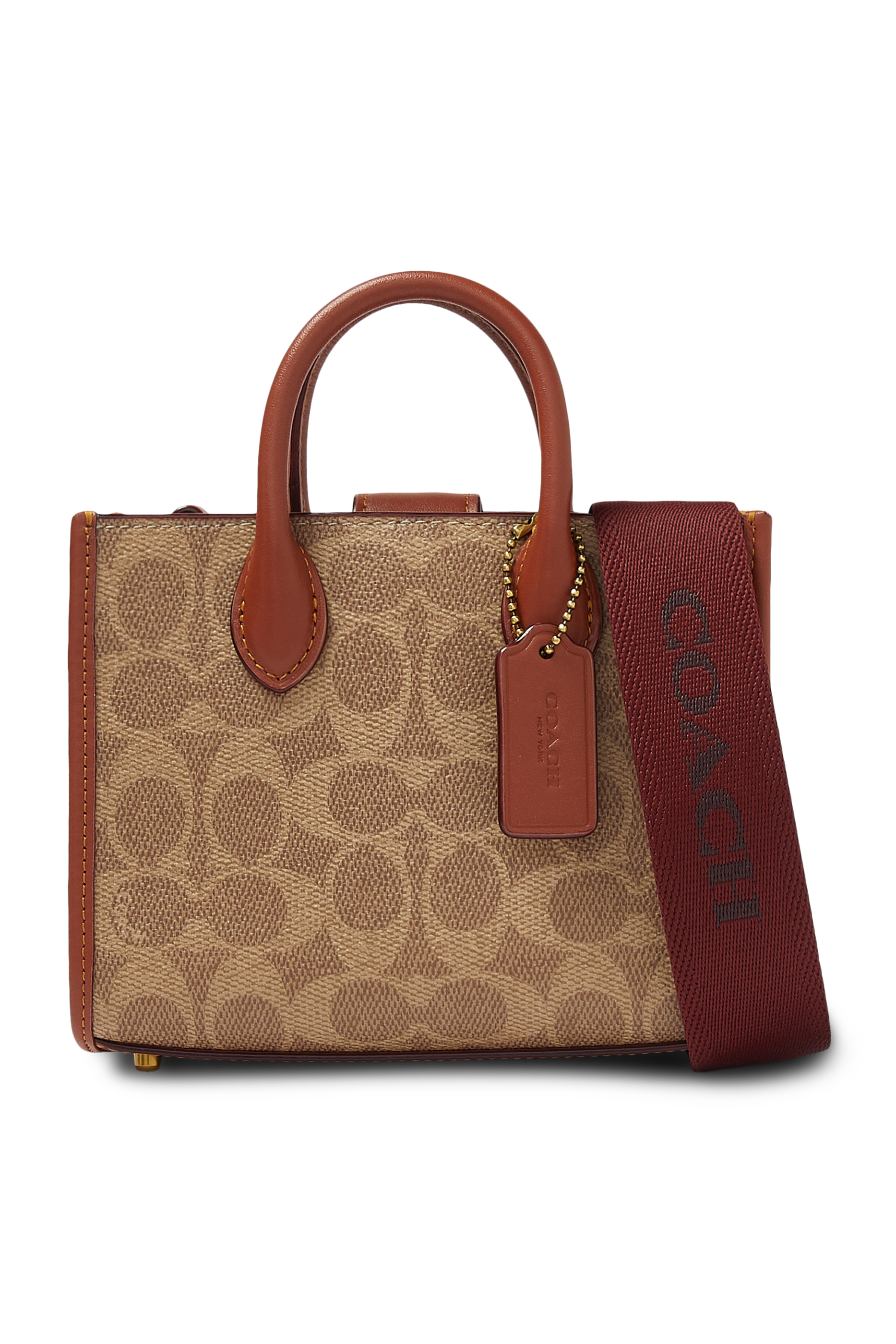 Ace 17 Tote Bag in Signature Canvas