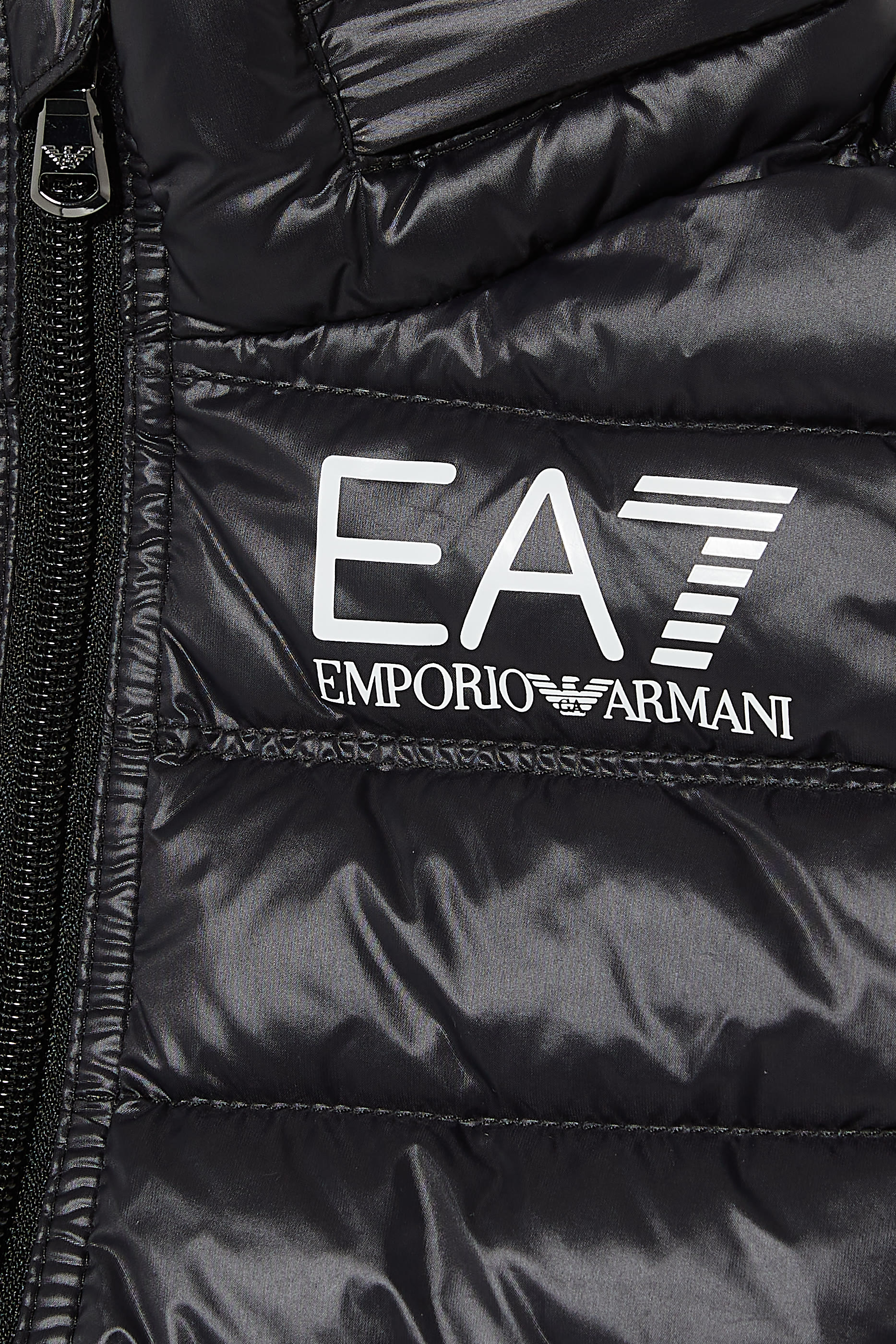 EA7 Padded Vest