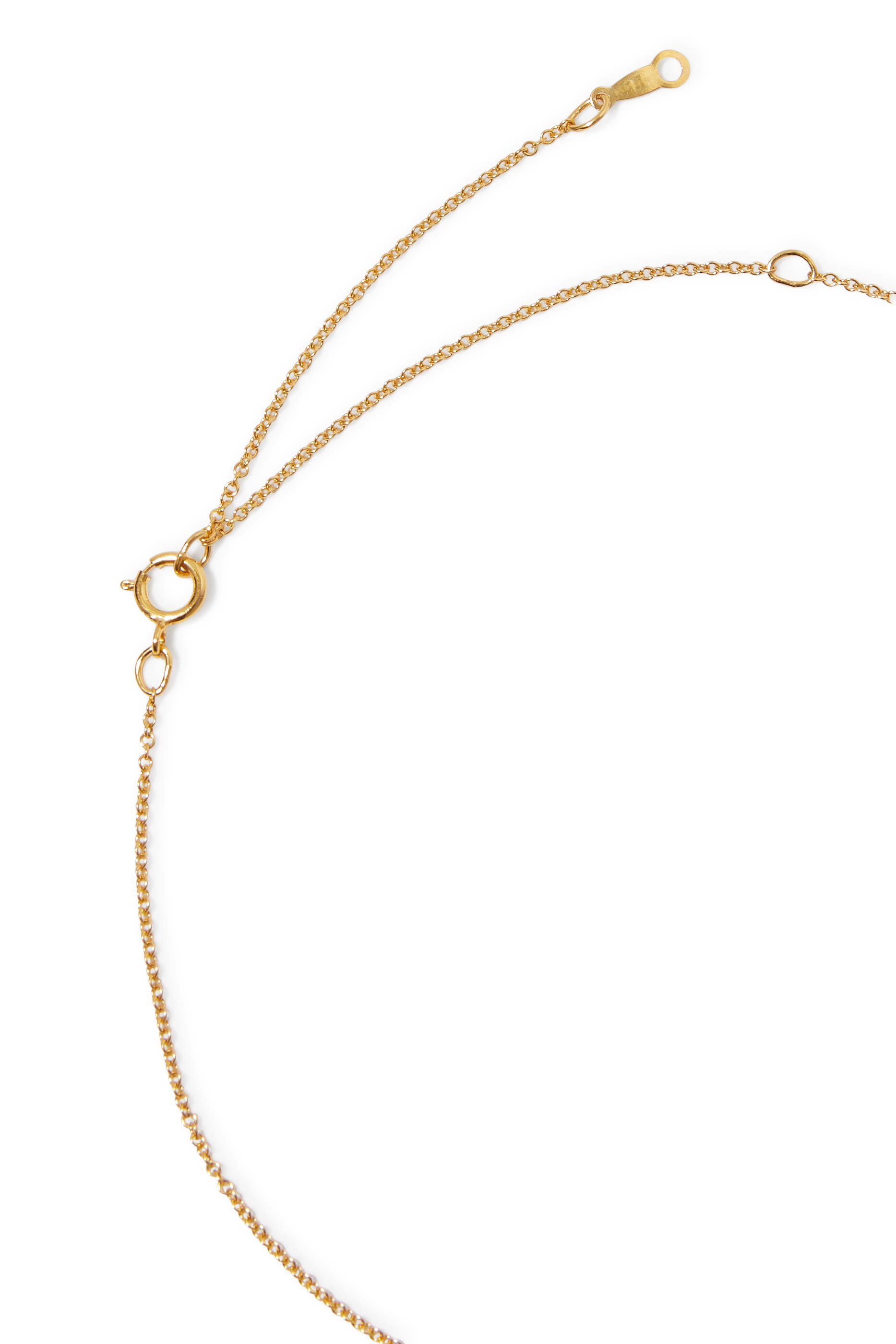 Medium Leone Medallion