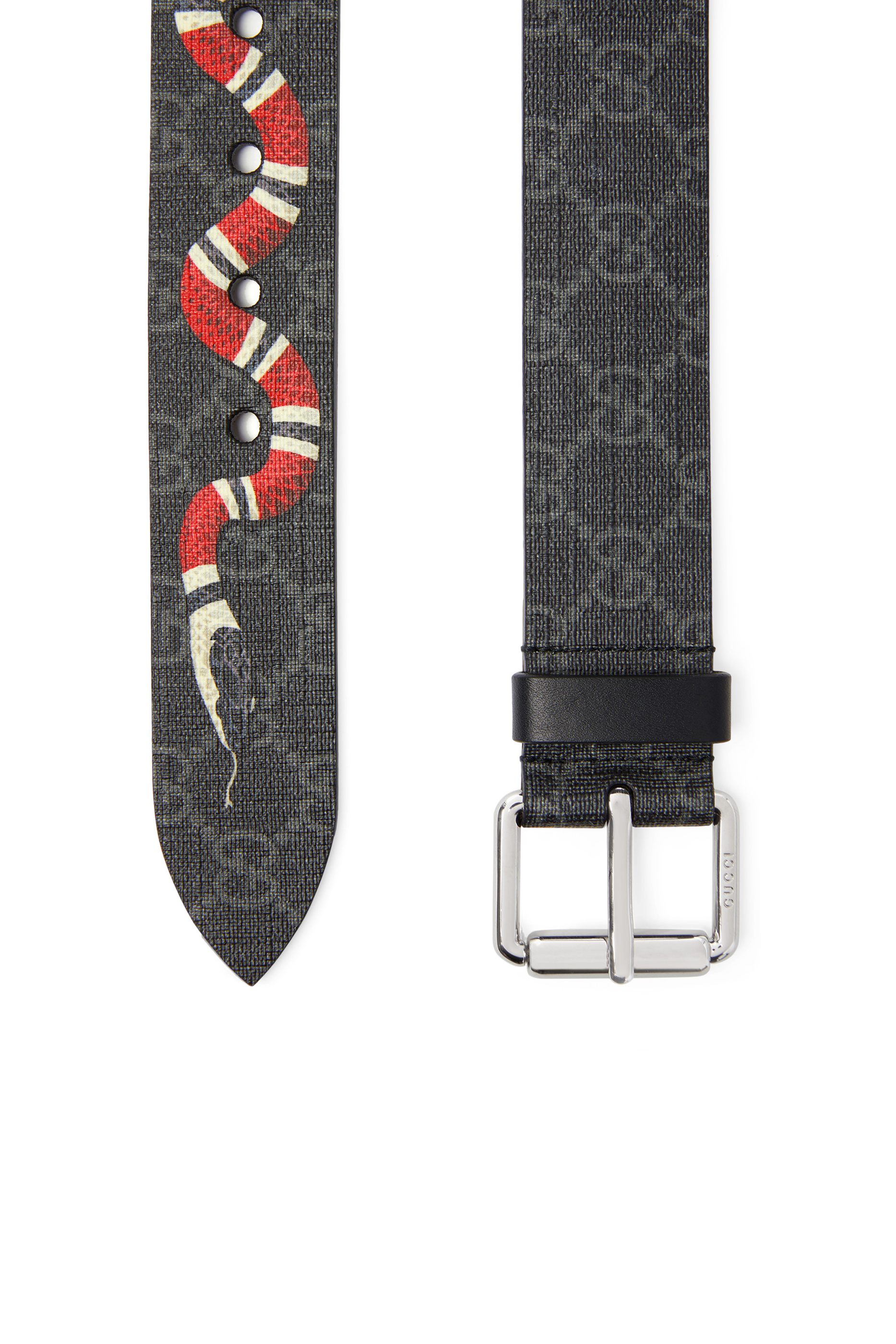 GG Belt With Kingsnake print