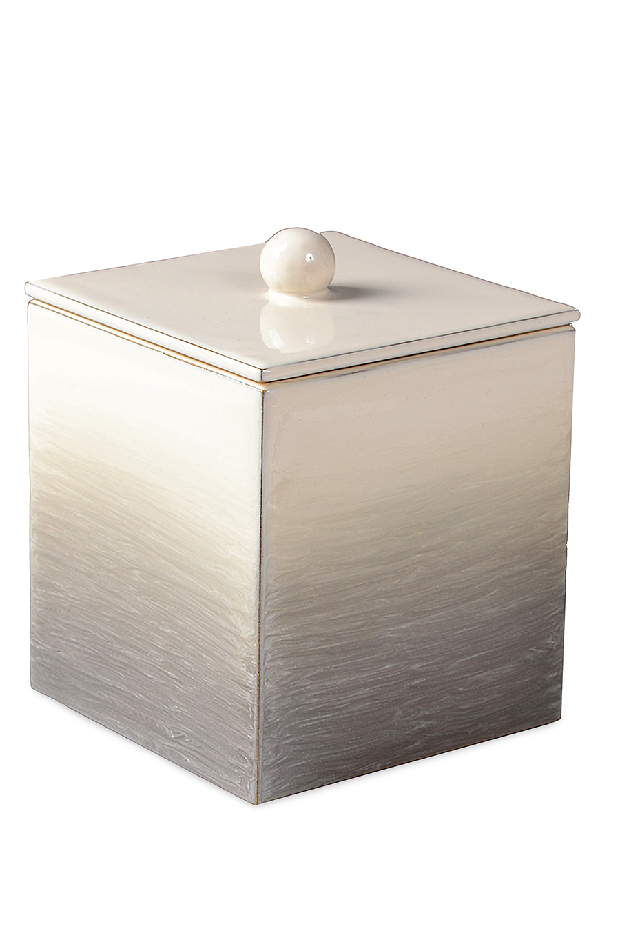 Ombre Storage Box