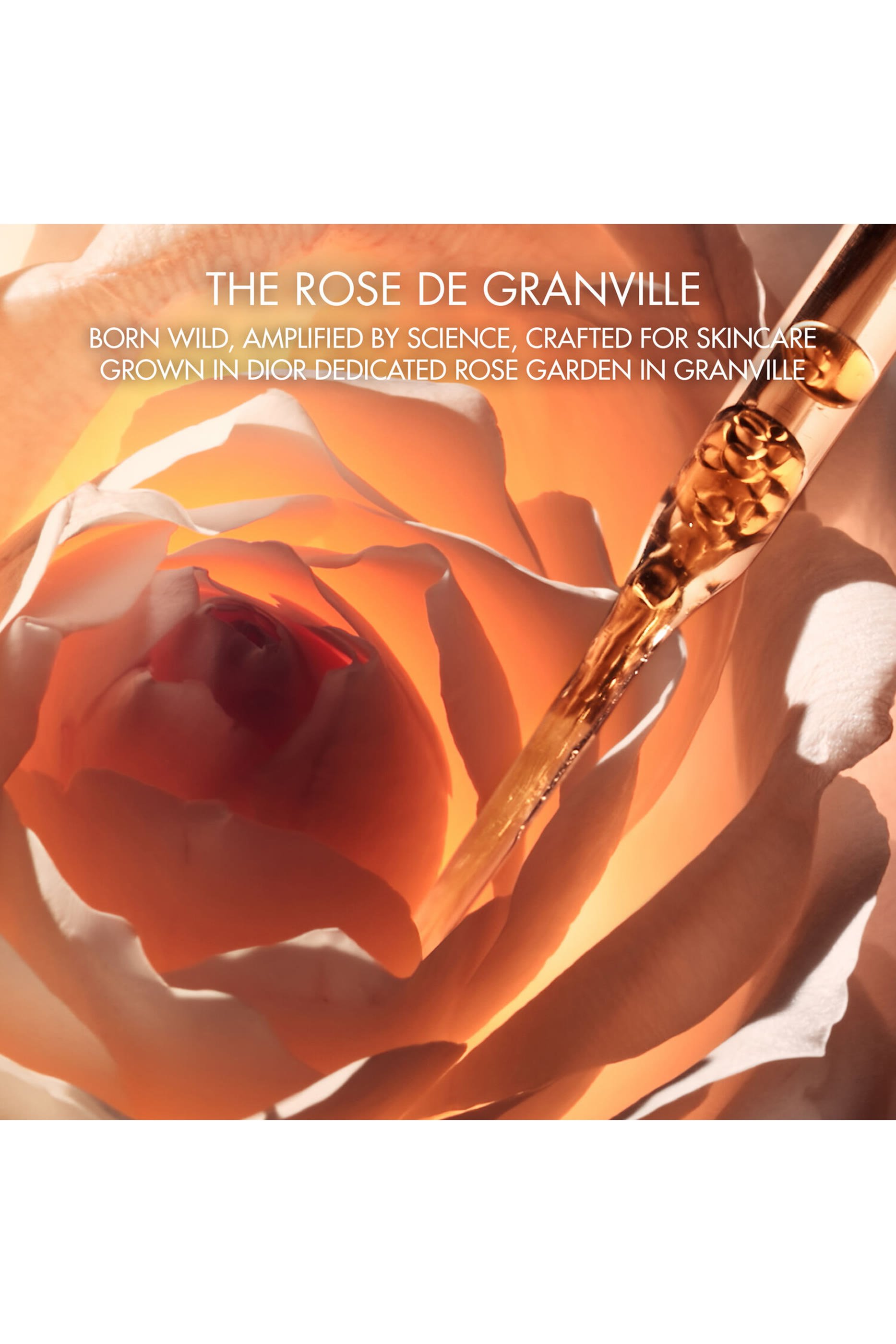 Dior Prestige La Micro-Huile de Rose Activated Serum