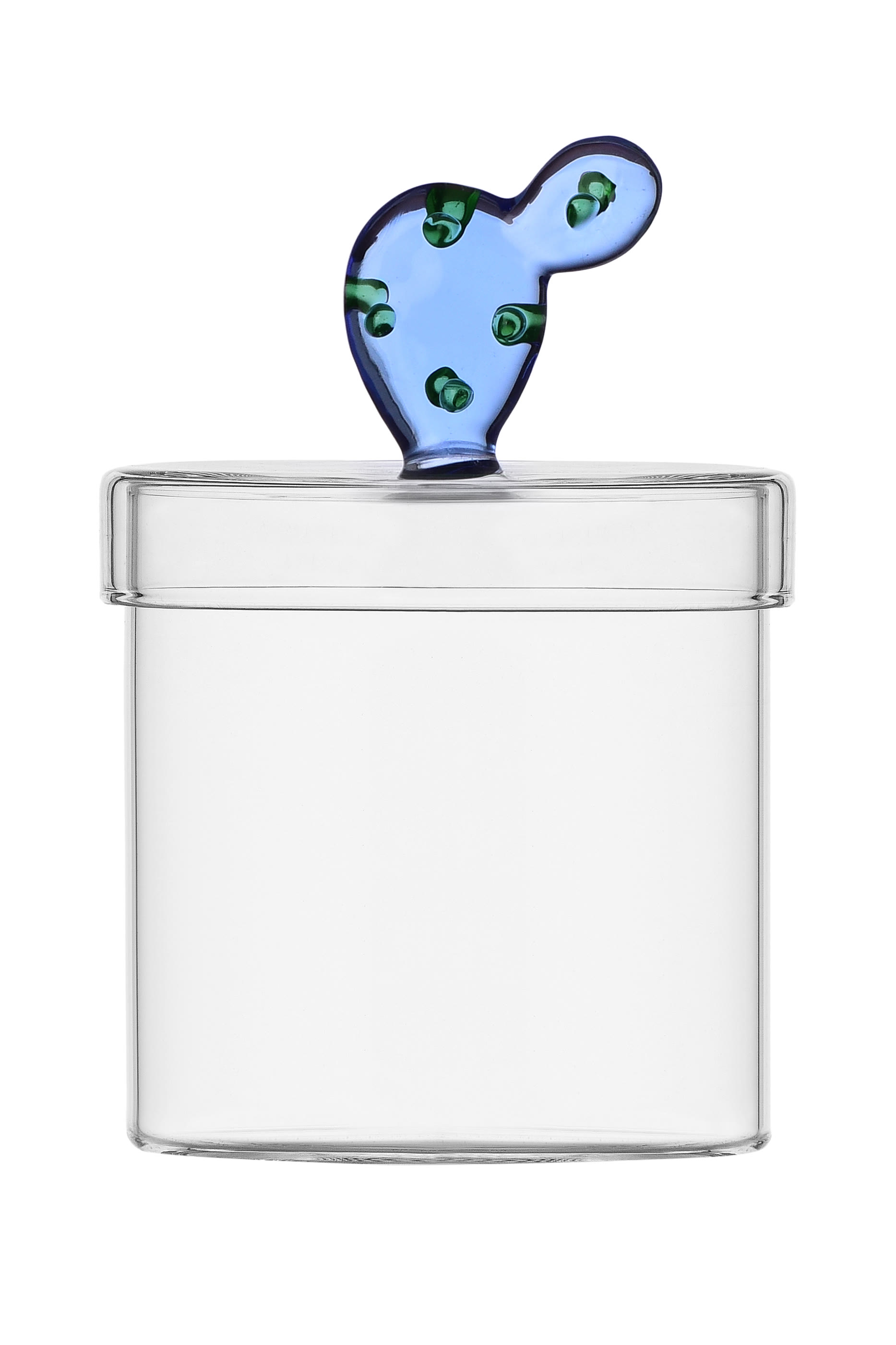 Cactus Box Desert Plant Box