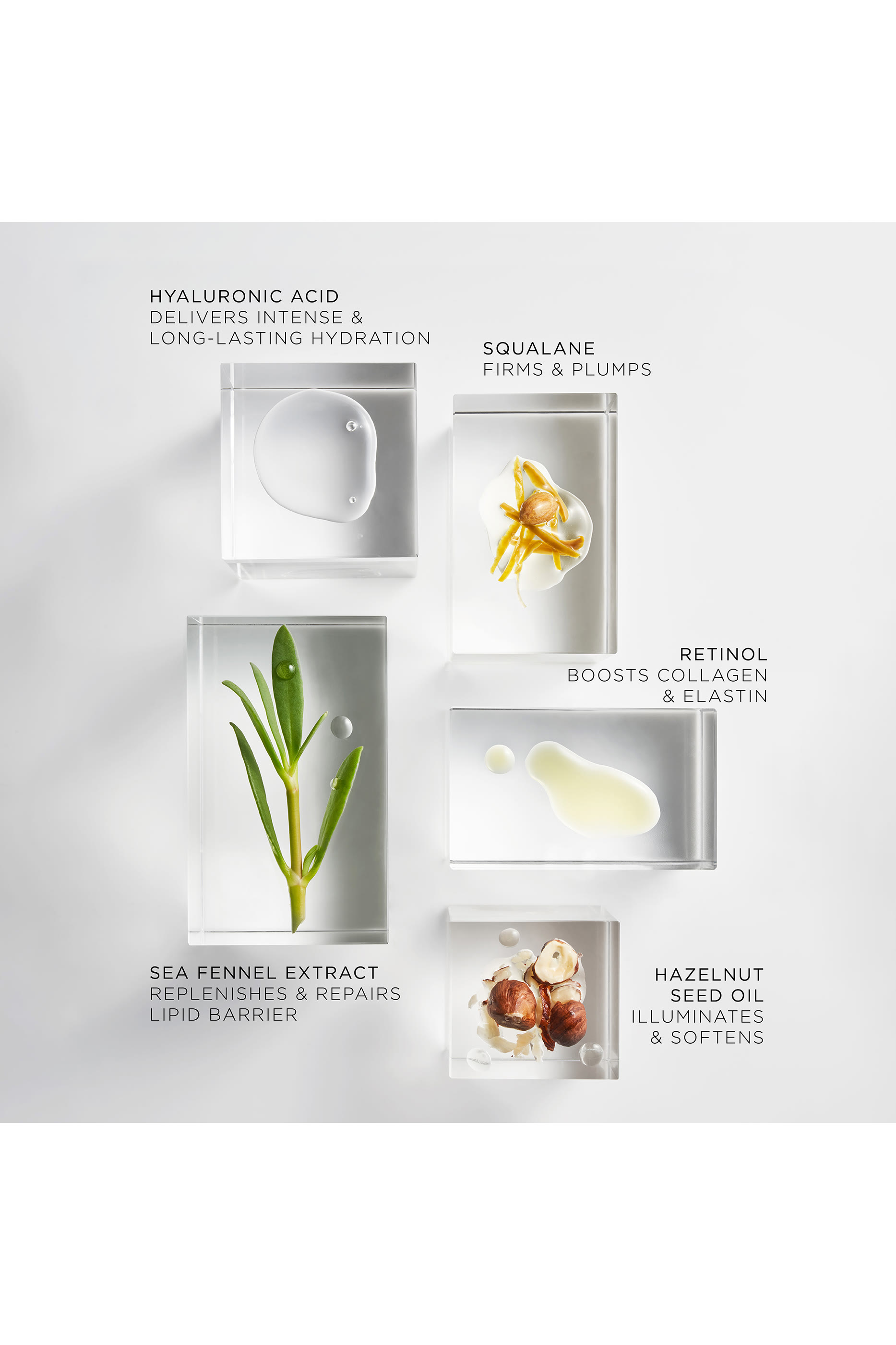 The Absolute Face Oil Refill, Set of 30