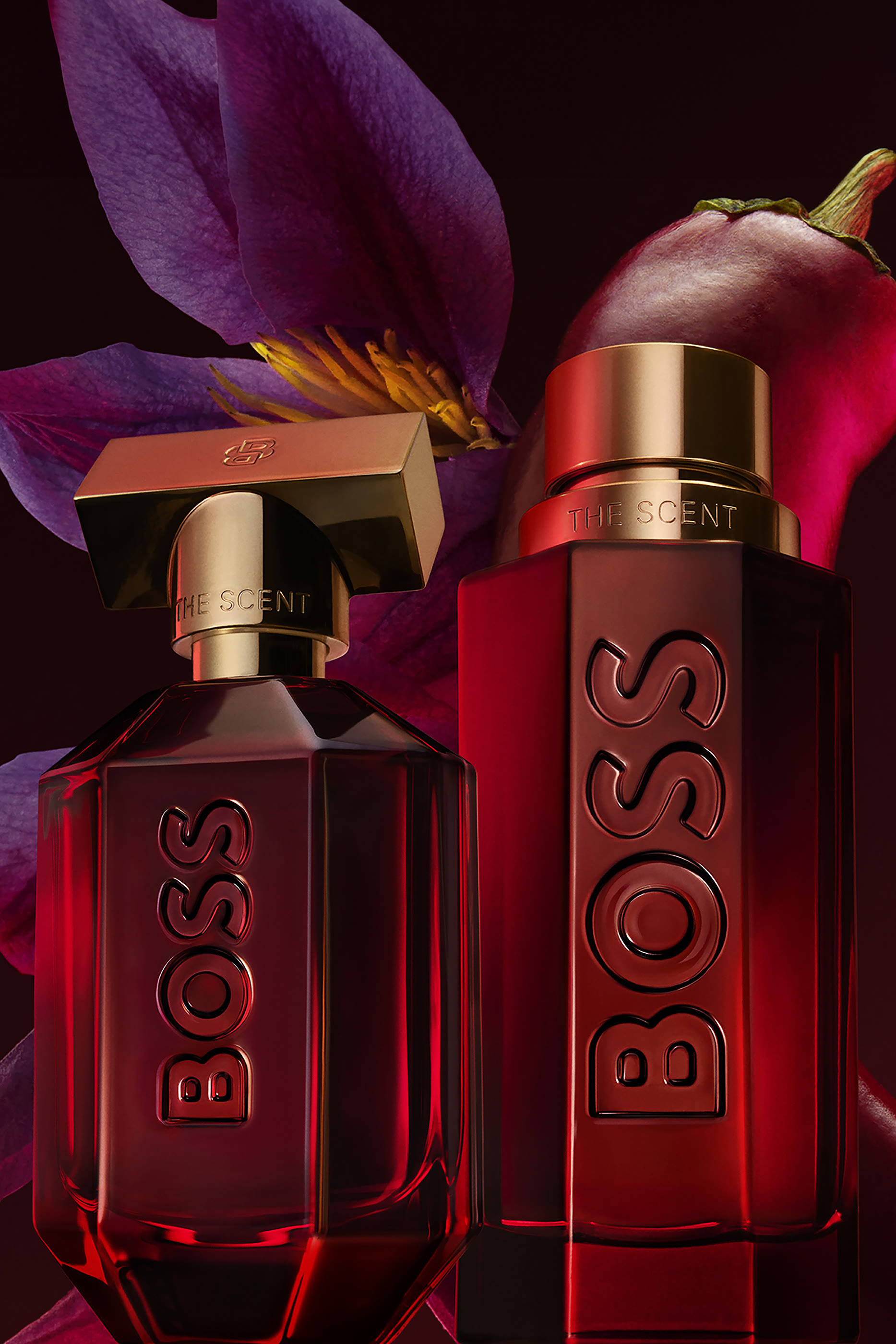 BOSS The Scent Elixir Parfum Intense for Him