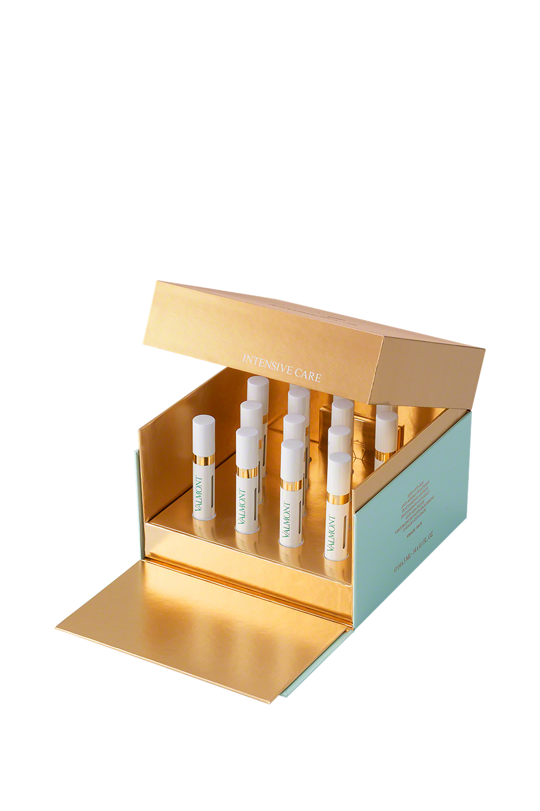 Time Master Intensive Program