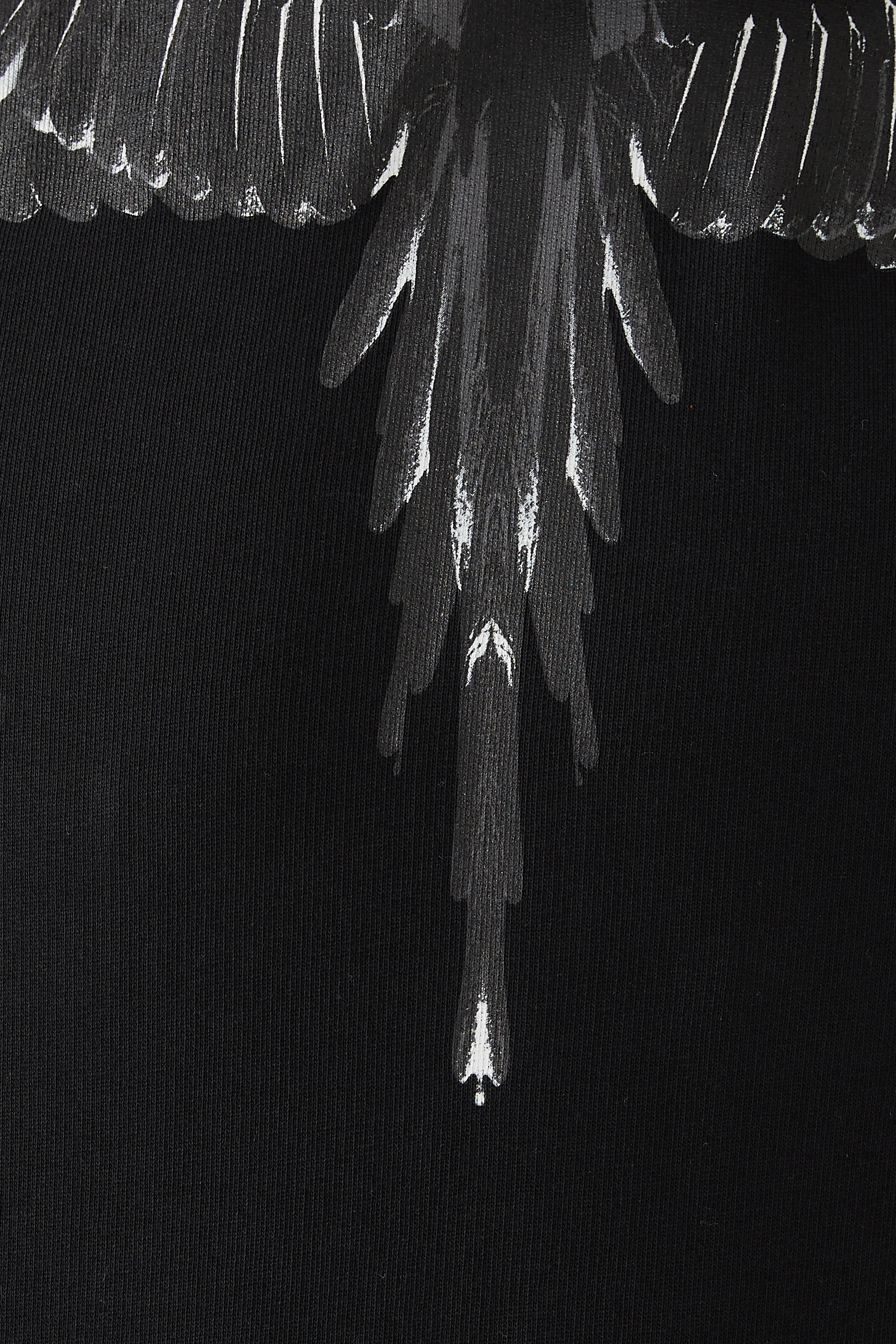 Icon Wings Hooded Sweatshirt