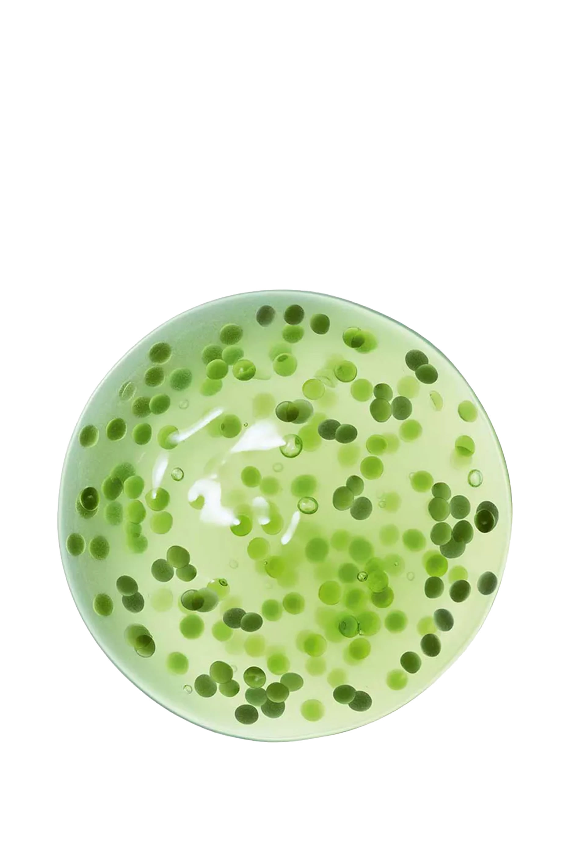 Crema Nera Reviscentalis Meta Concentrate Serum