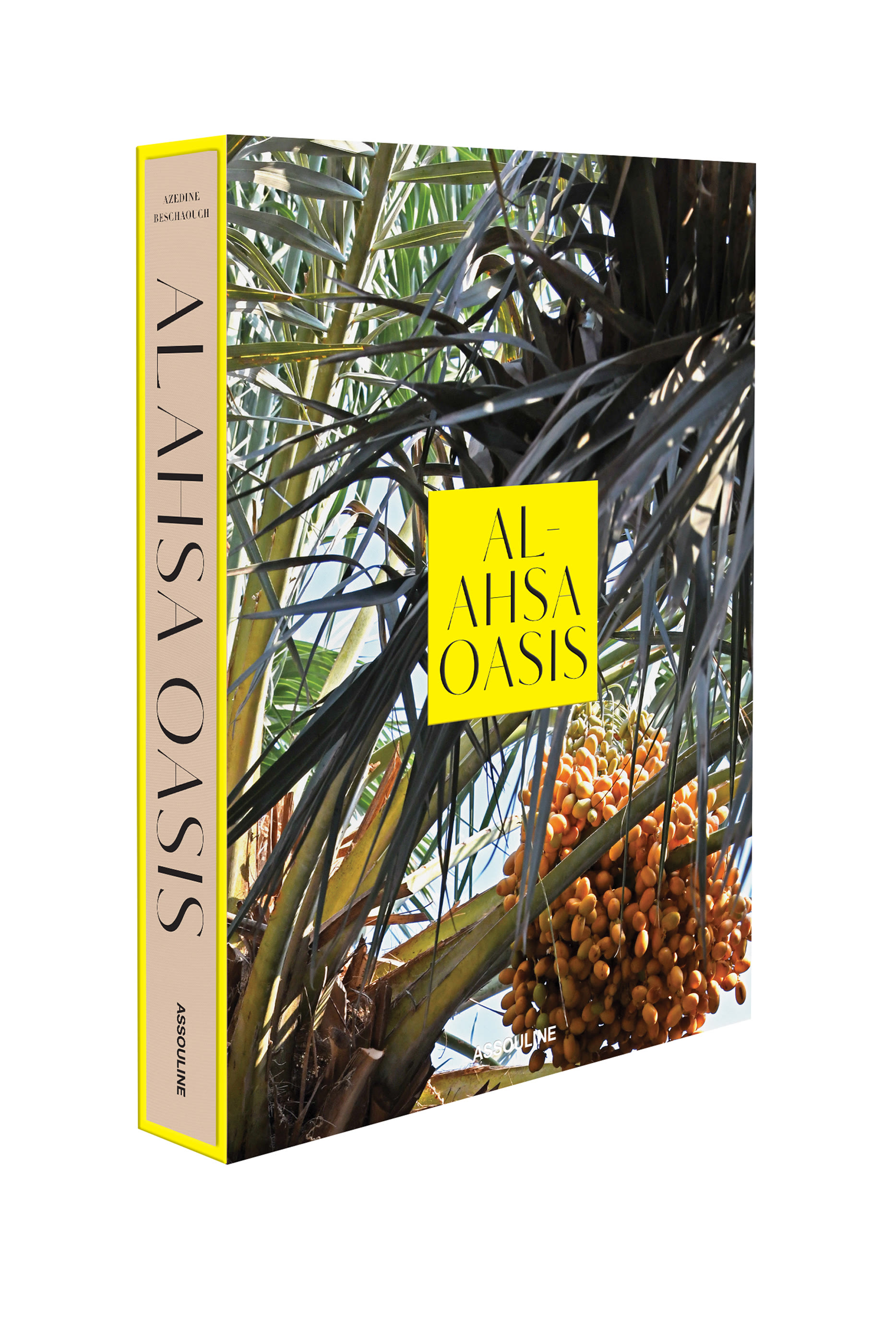 Saudi Arabia: Al-Ahsa Oasis