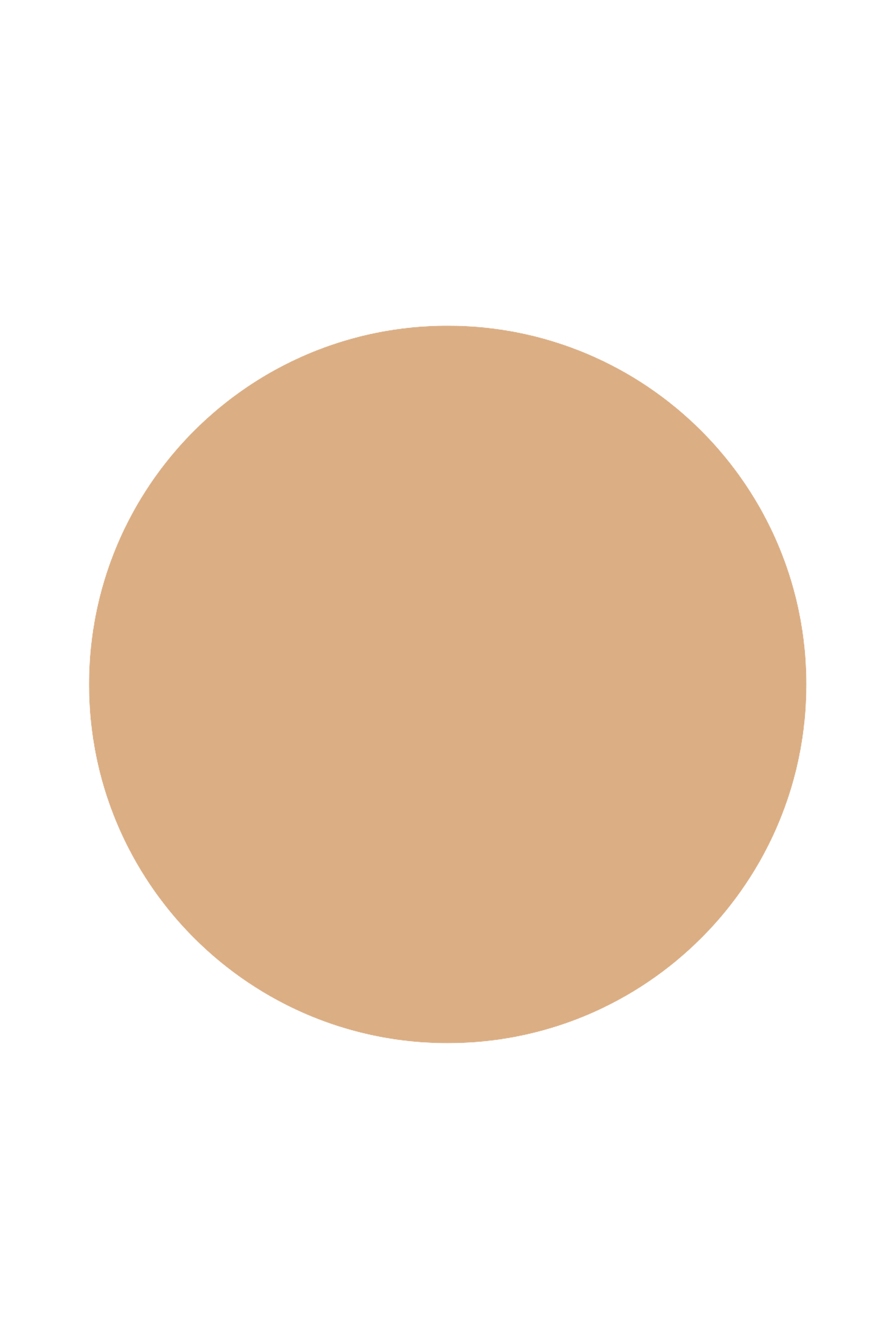 Parure Gold Skin Control Refill