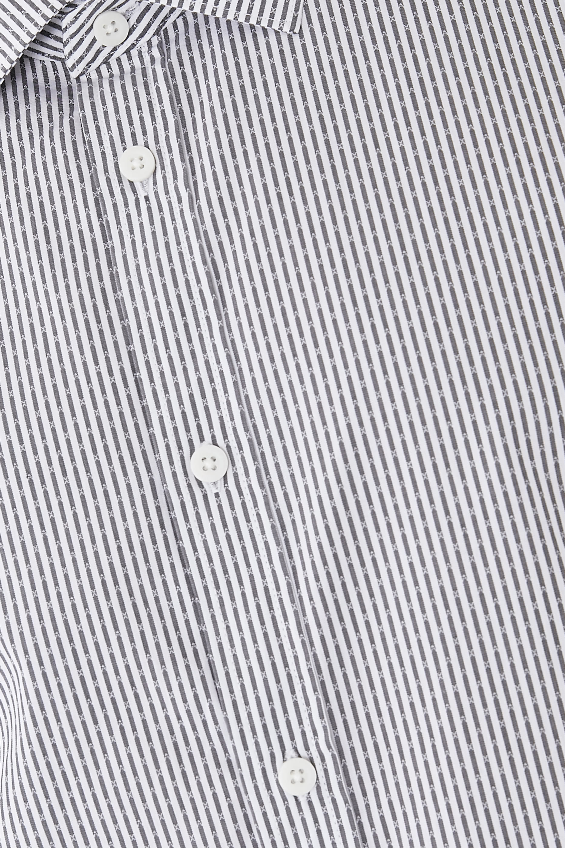 The Gymnasium Regular Fit Shirt