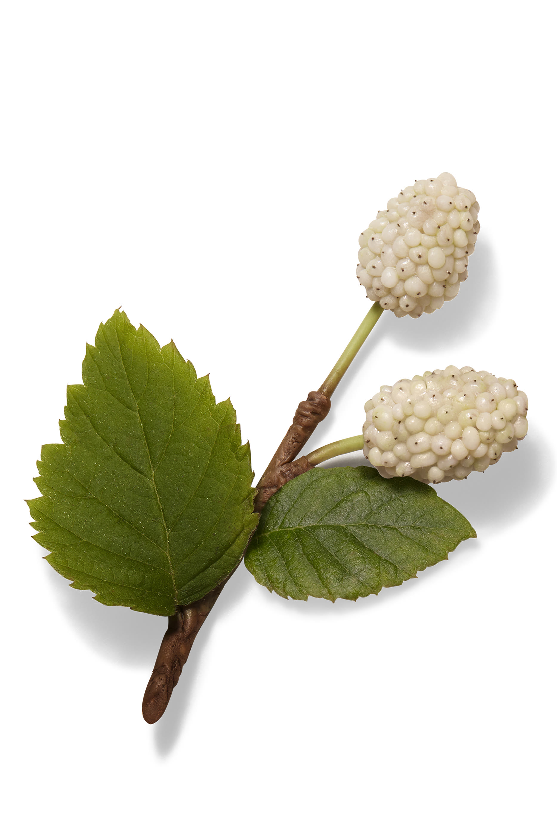 Hermès Plein Air, Complexion Balm