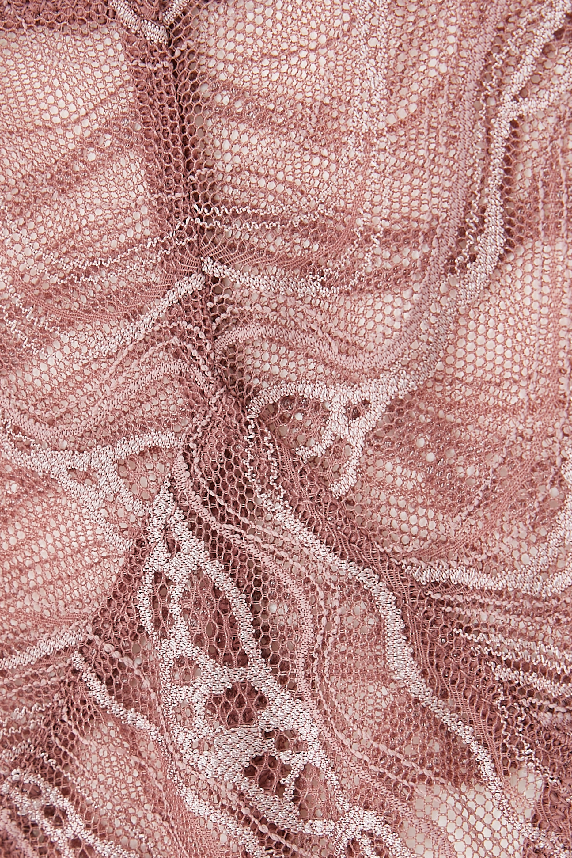 Sheer Lace Brazilian Briefs