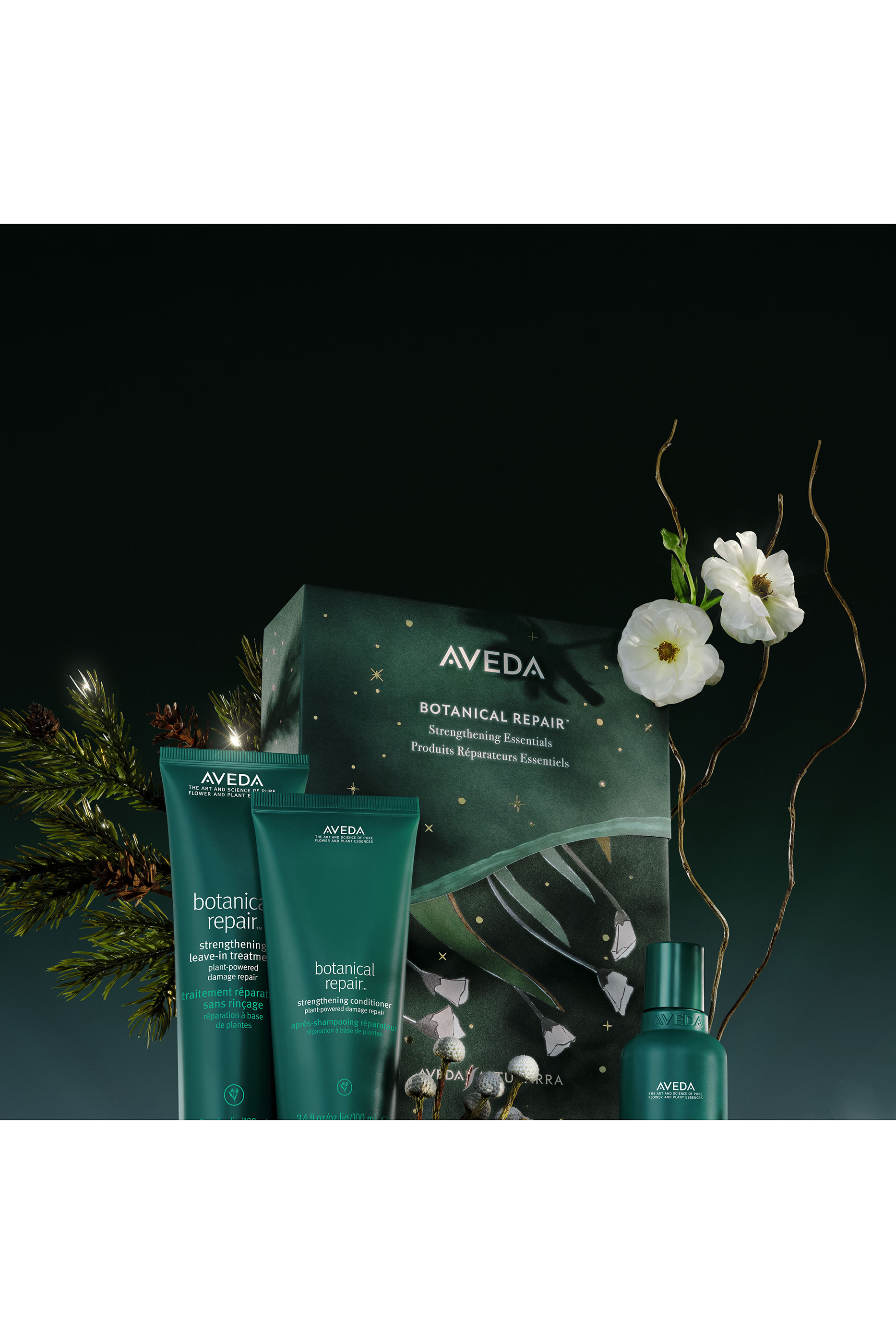 Botanical Repair Strengthening Essentials Gift Set