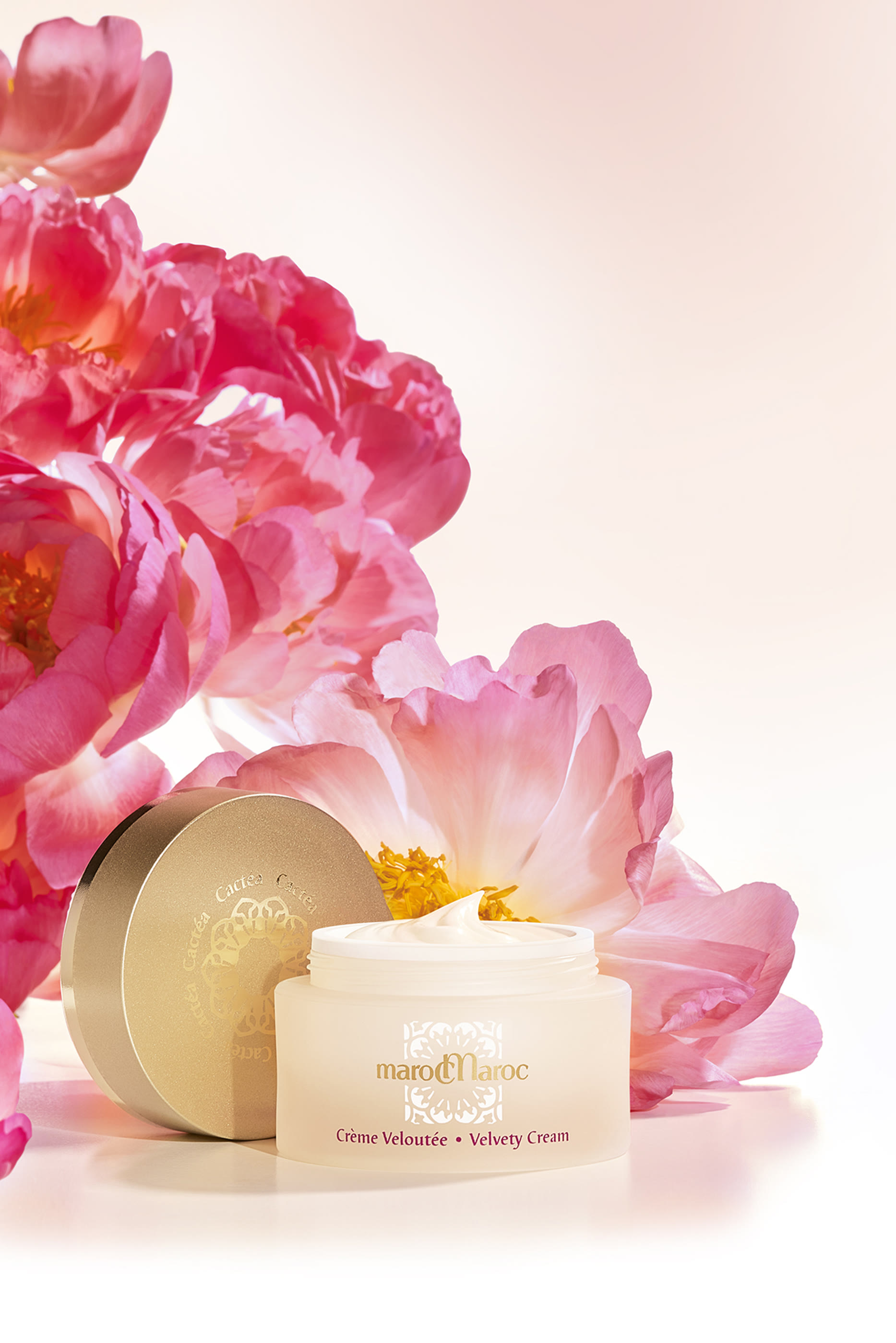 Cactéa Velvety Cream