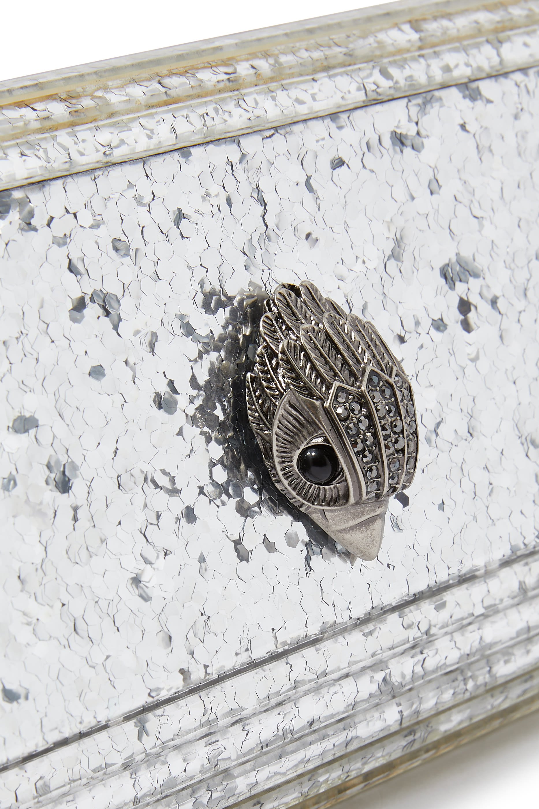 Party Eagle Plexi Envelope Clutch