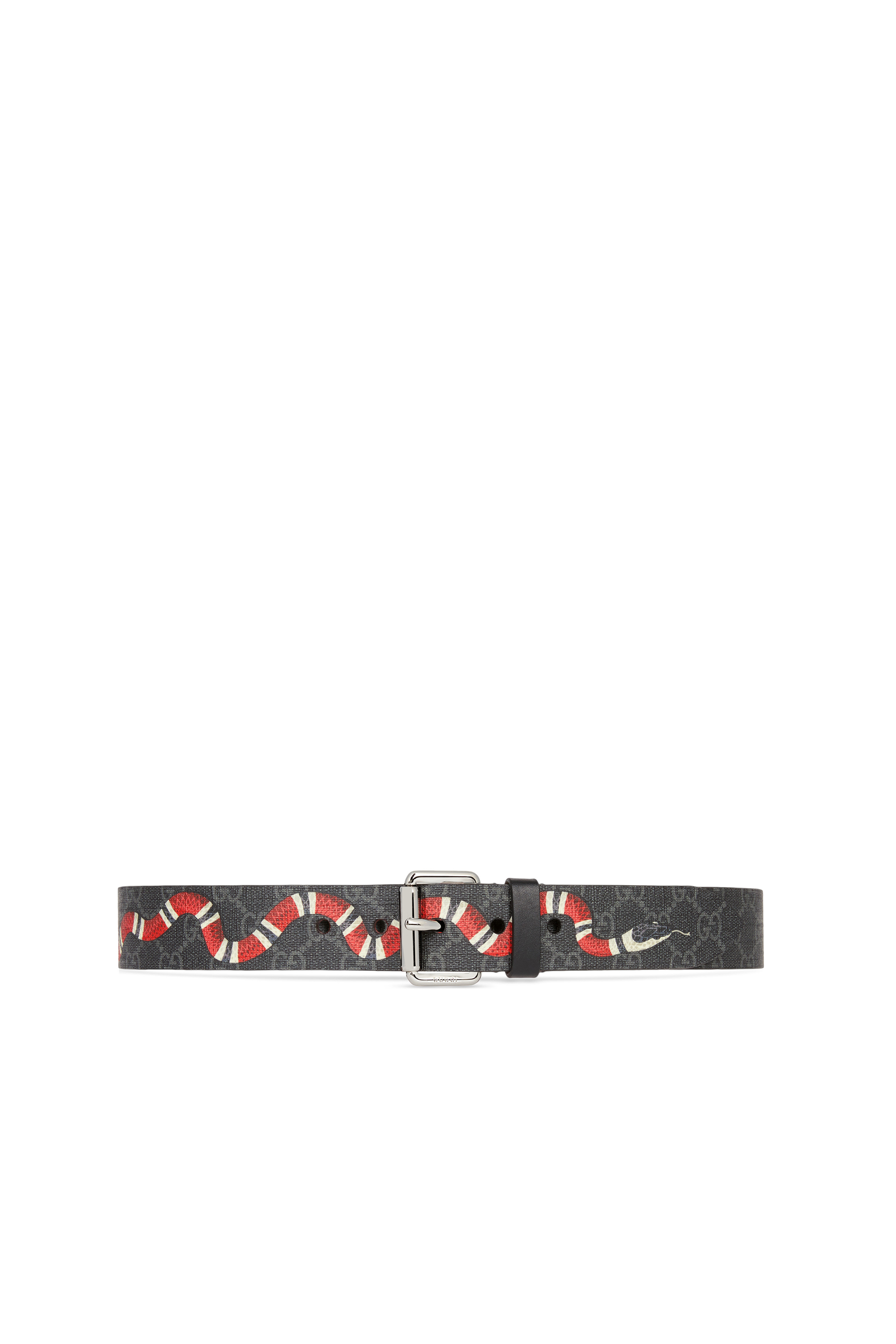 GG Belt With Kingsnake print