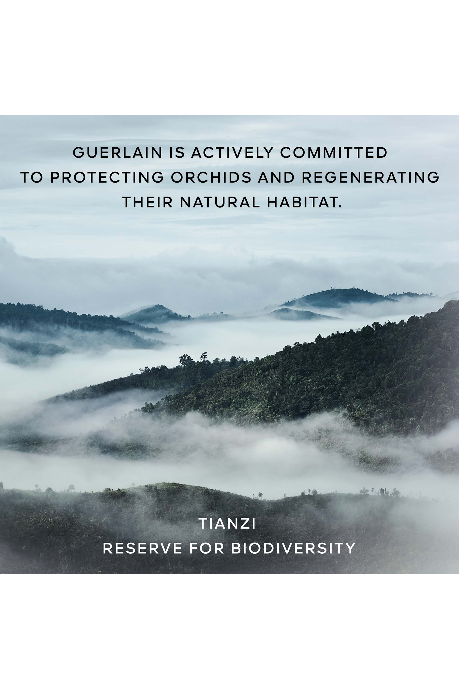 Orchidée Impériale The Oil in Gel